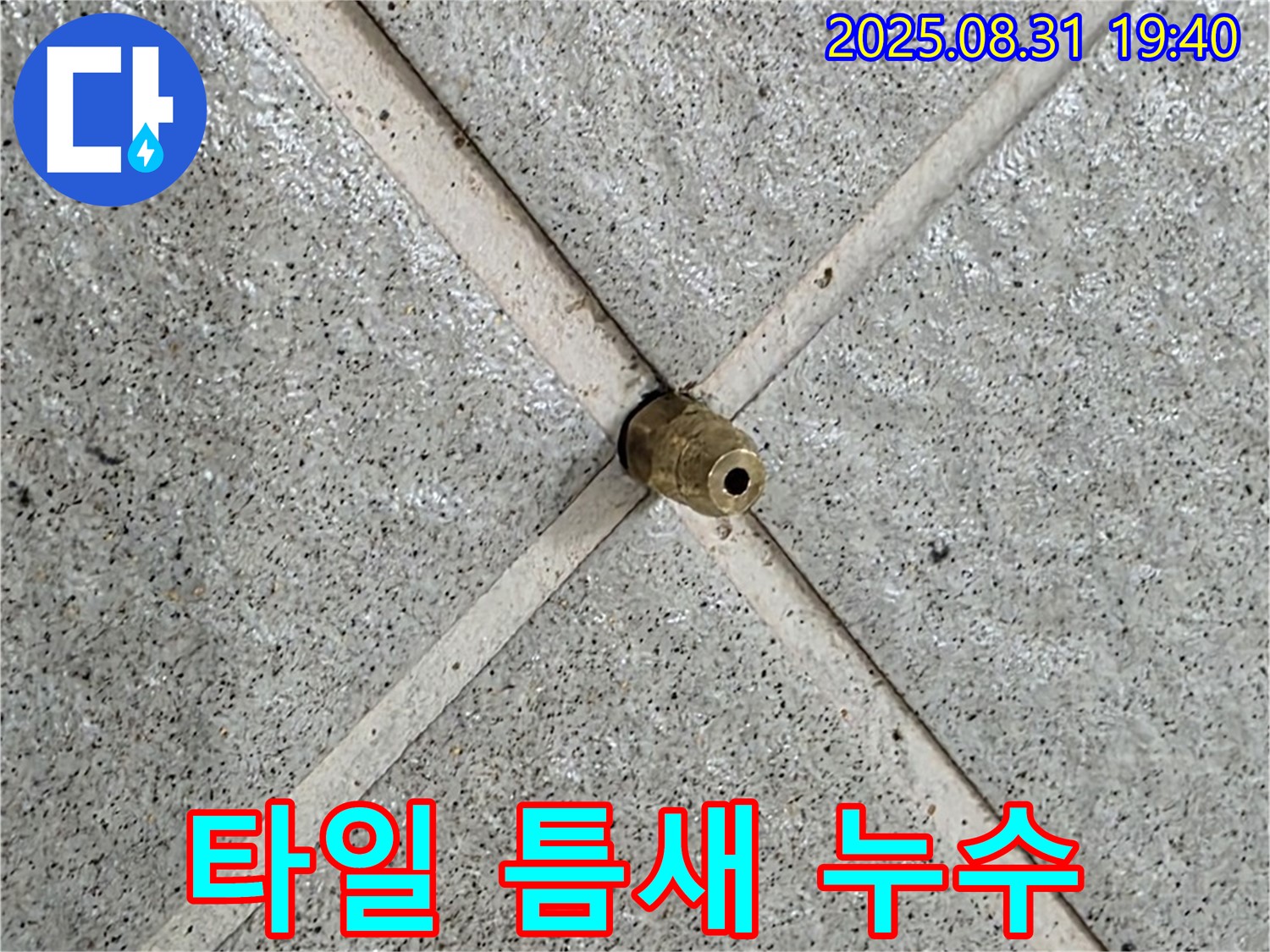 타일 틈새 누수 - 작은 틈새도 놓치지 않고 꼼꼼하게 점검합니다.