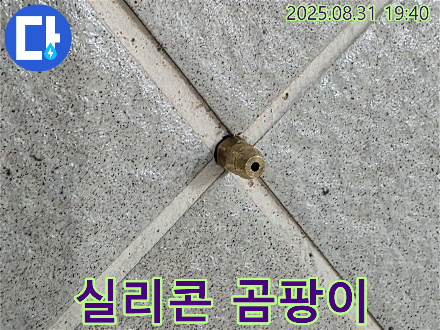 타일 틈새 실리콘 곰팡이 - 방수층 손상을 의심해야 합니다!