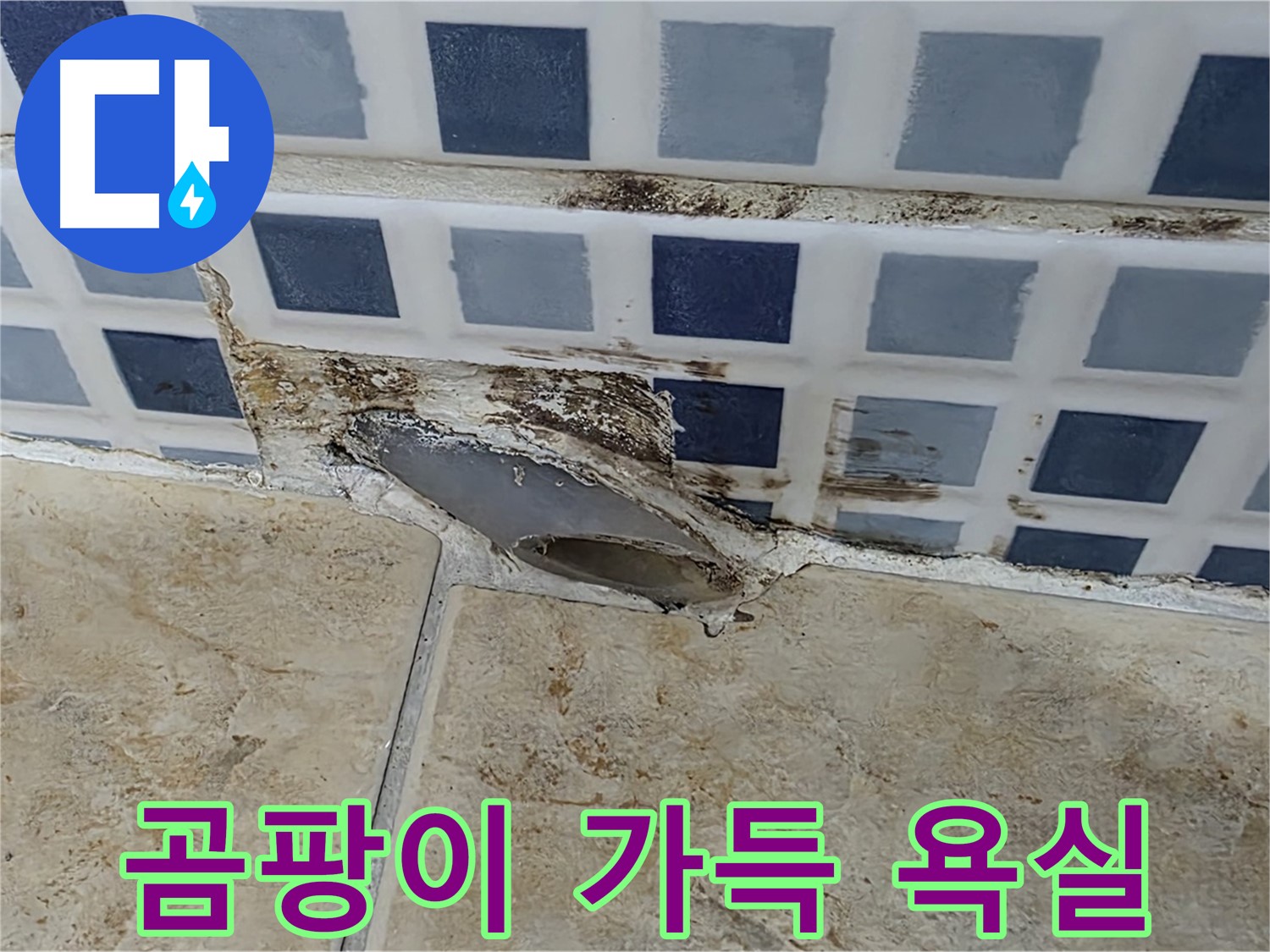 곰팡이 가득한 욕실 - 누수 때문일 수 있습니다.