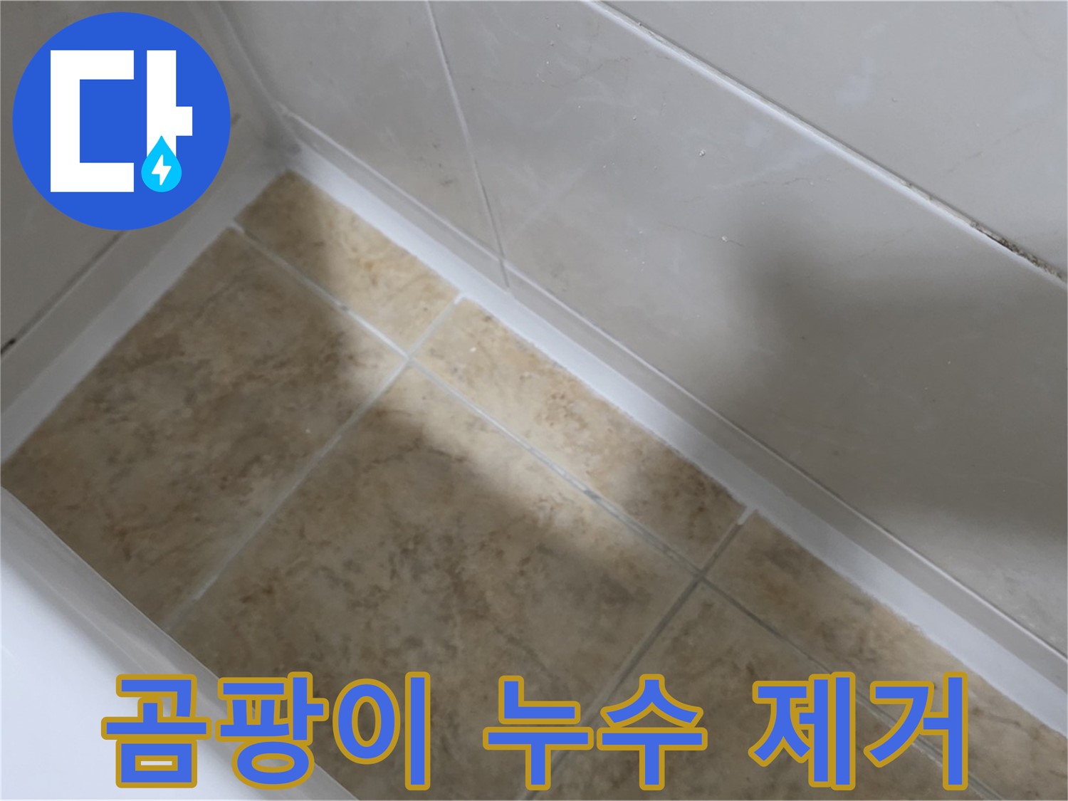곰팡이 누수 제거 - 곰팡이와 함께 누수를 완벽하게 제거합니다.