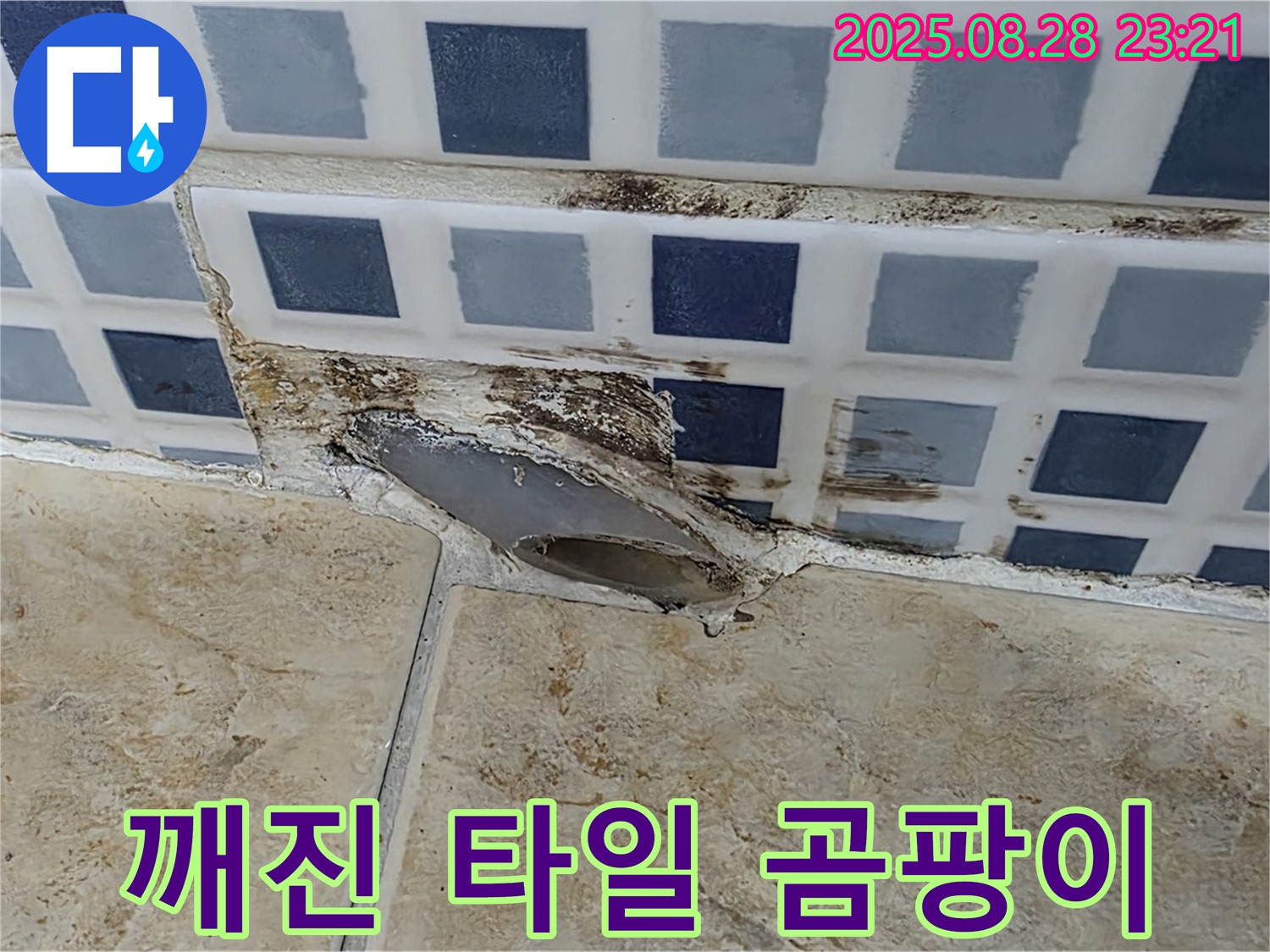 깨진 타일과 곰팡이 - 누수 문제 해결