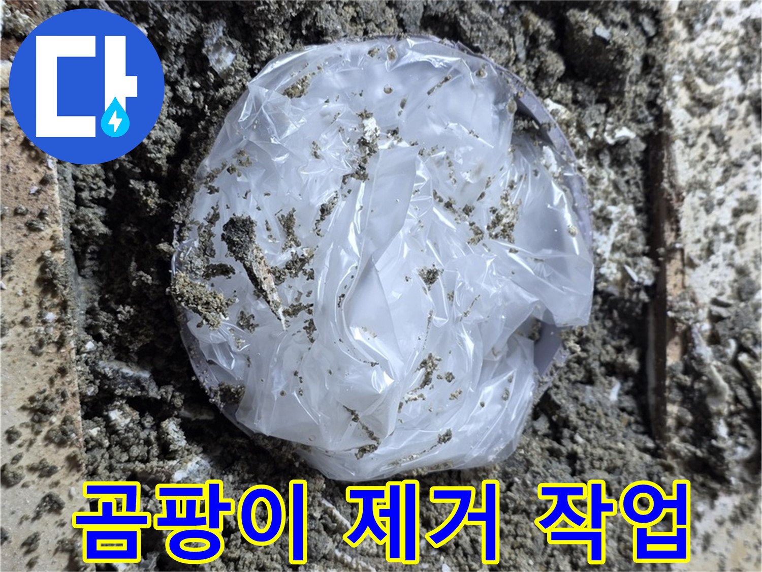 묵동 곰팡이 제거 작업 - 방수층 문제 해결!