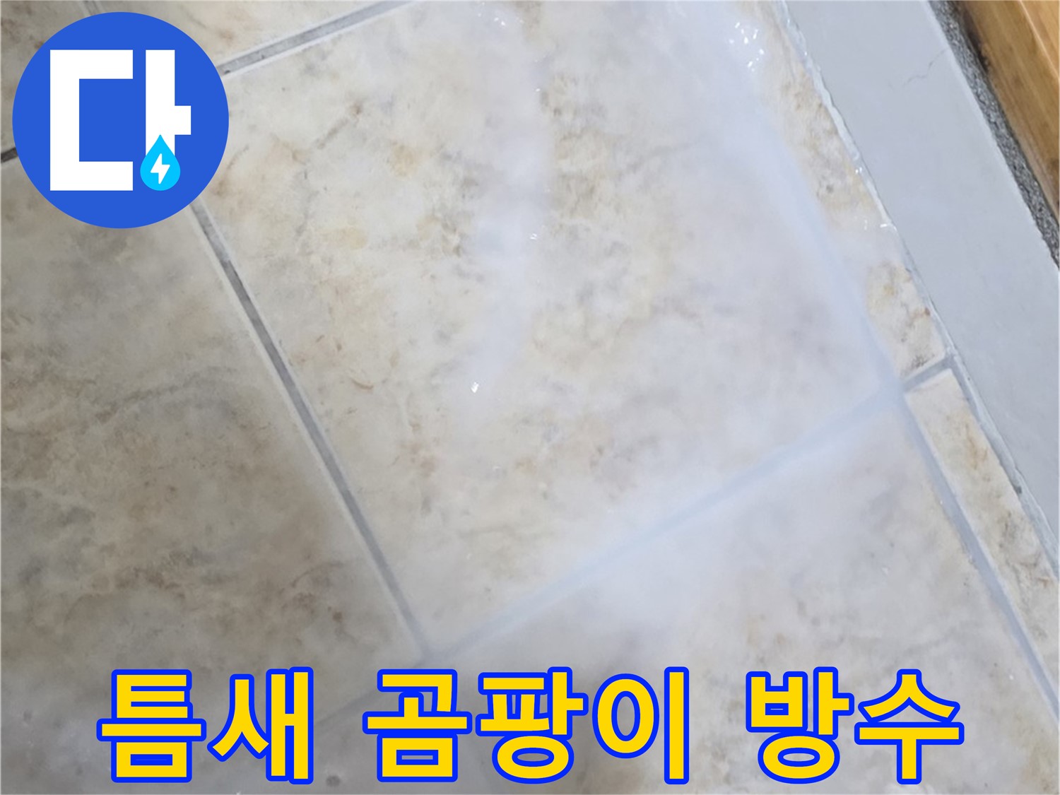 타일 틈새 곰팡이 - 제거 후 완벽 방수로 - 안심하세요!