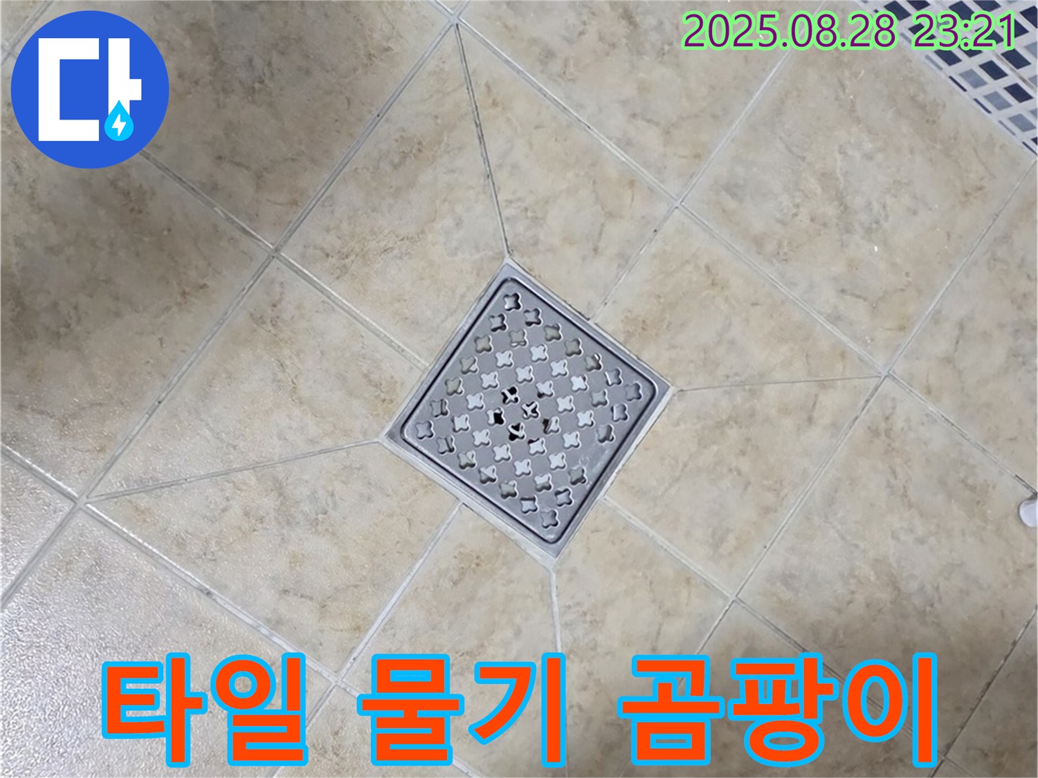 배수구 주변 물기 곰팡이 - 습기 제거 및 방지