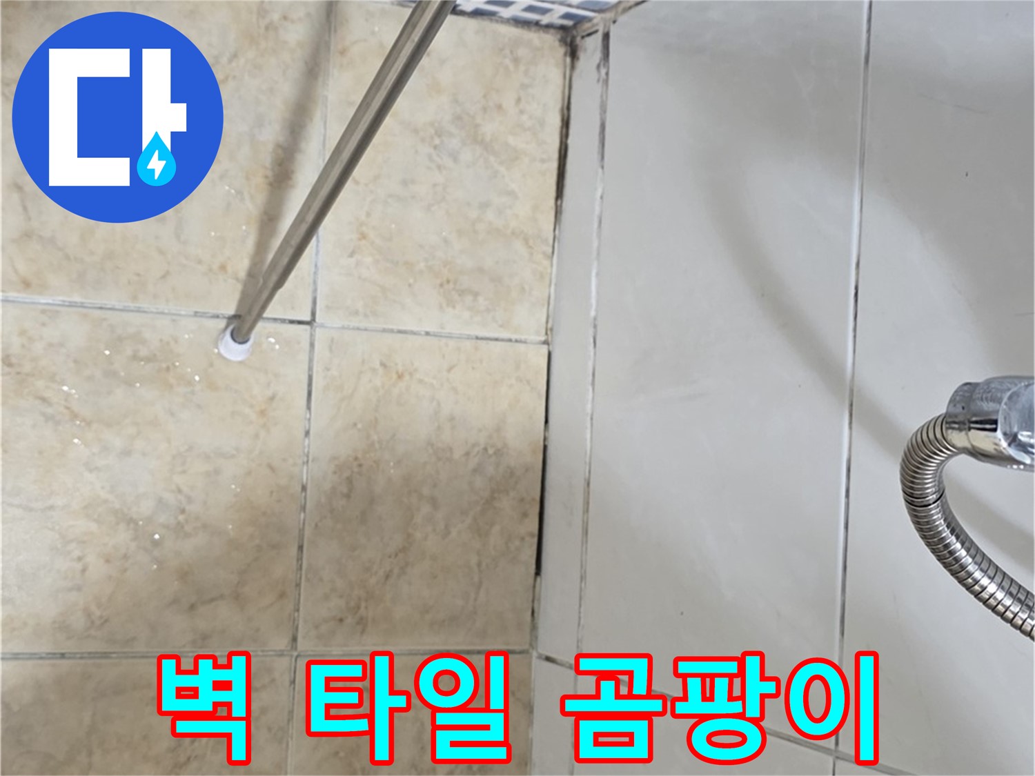 벽 타일 하단 곰팡이 - 곰팡이 냄새 - 누수 의심