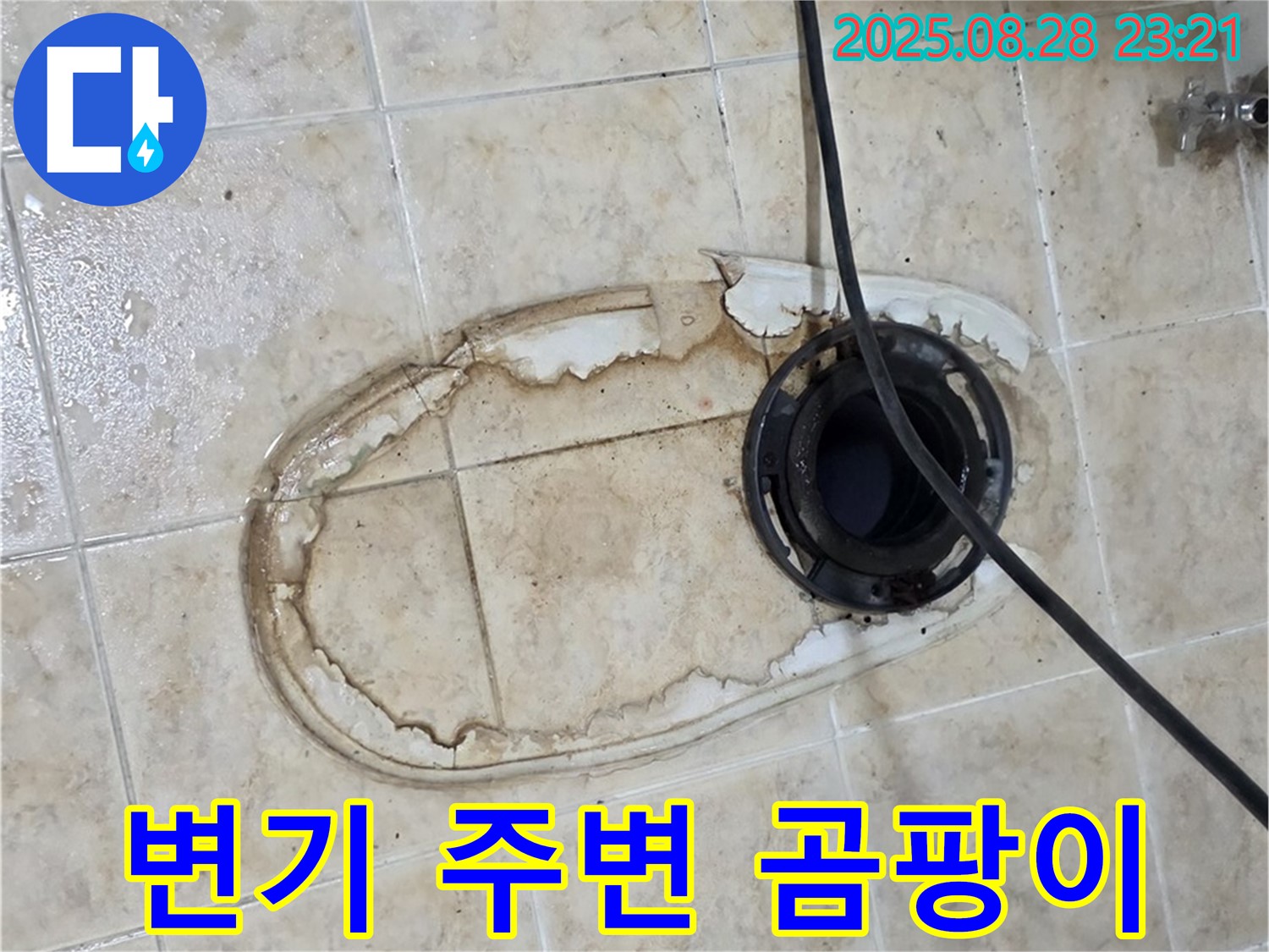 변기 주변 곰팡이 - 누수로 인한 곰팡이 발생 가능성