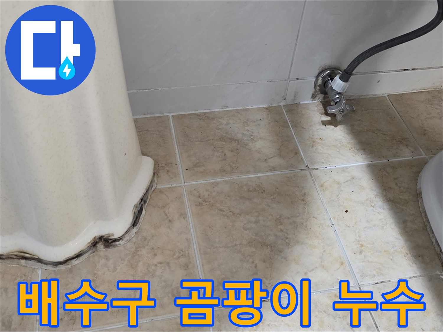 세면대 배수구 주변 곰팡이 - 악취 원인 - 곰팡이 제거 필요