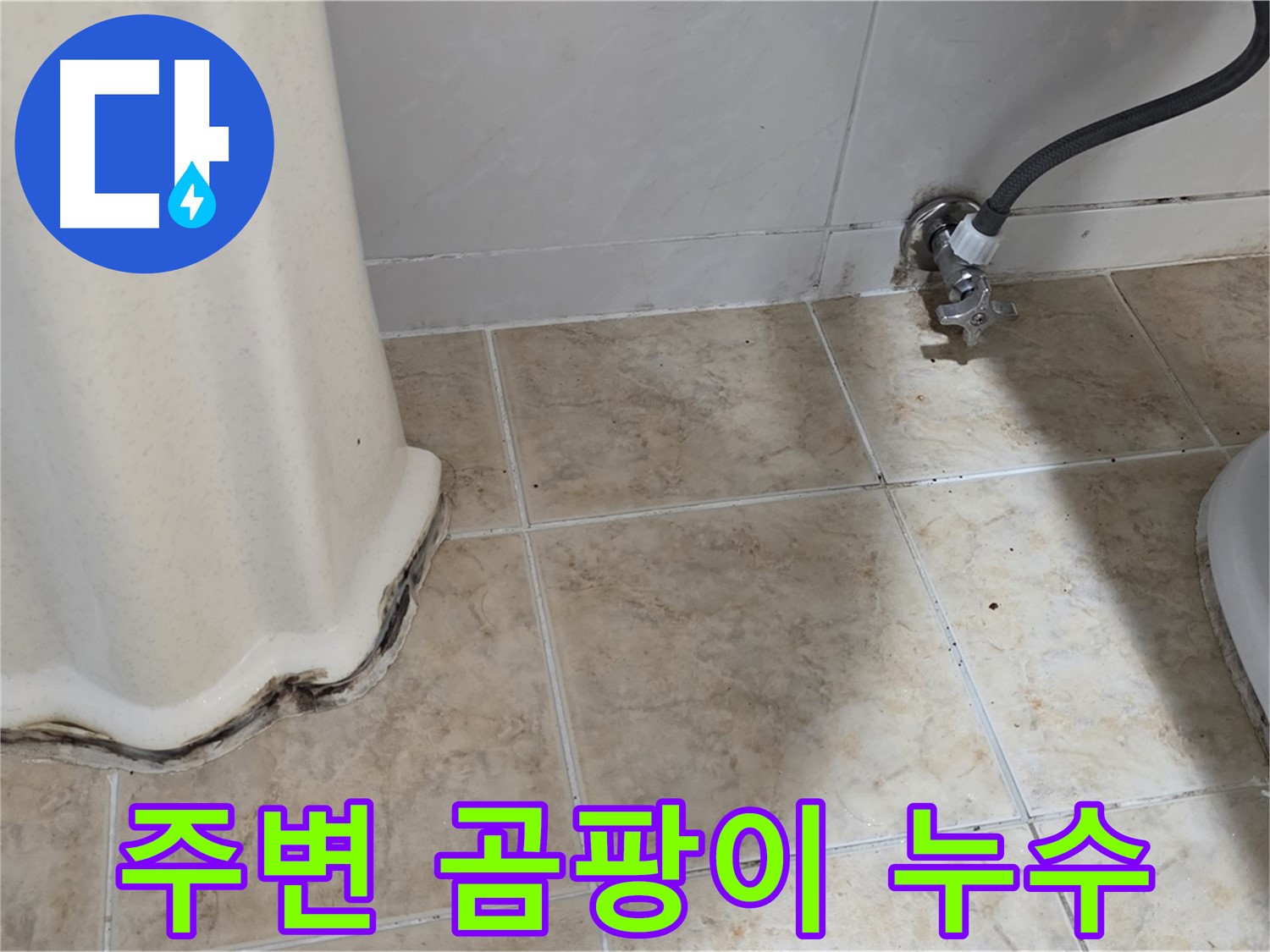 세면대 주변 곰팡이 - 쾌적한 욕실 필수 - 곰팡이 제거 전문가