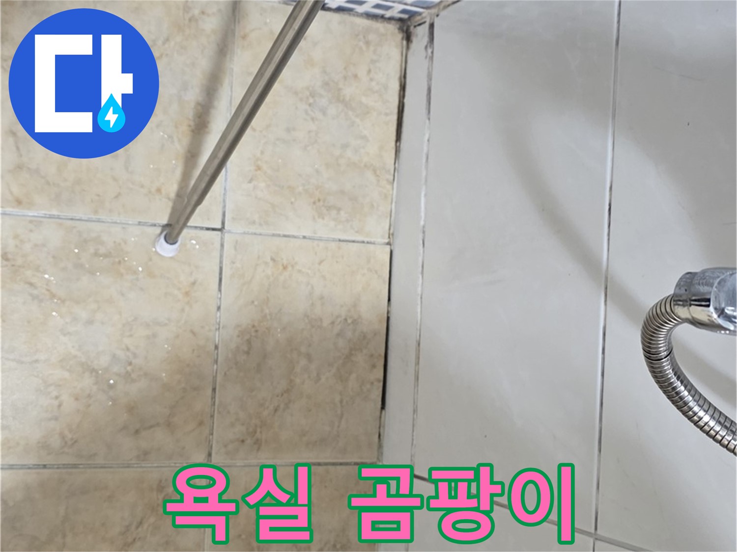 욕실 곰팡이 - 곰팡이 포자 - 온 집안 확산
