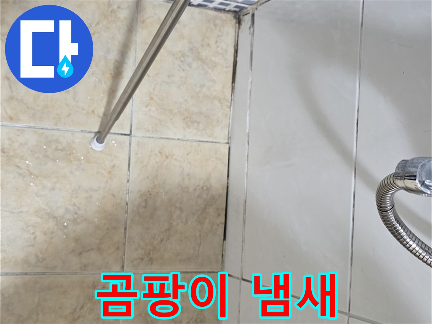 욕실 곰팡이 냄새 - 곰팡이 제거 후 - 냄새 지속 - 누수 의심