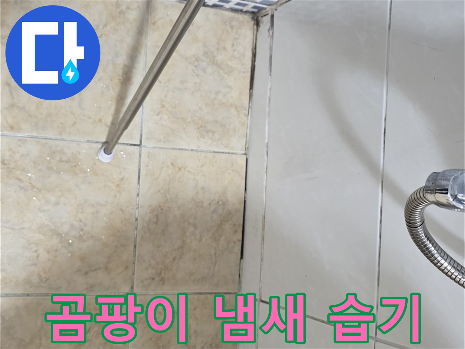 욕실 곰팡이 냄새 - 습기 - 누수 점검 - 필수