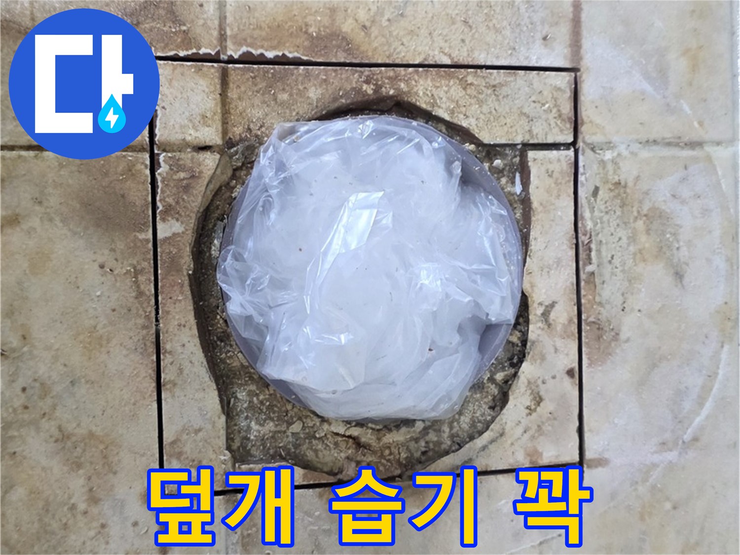 욕실 배수구 비닐 덮개 - 습기 꽉!