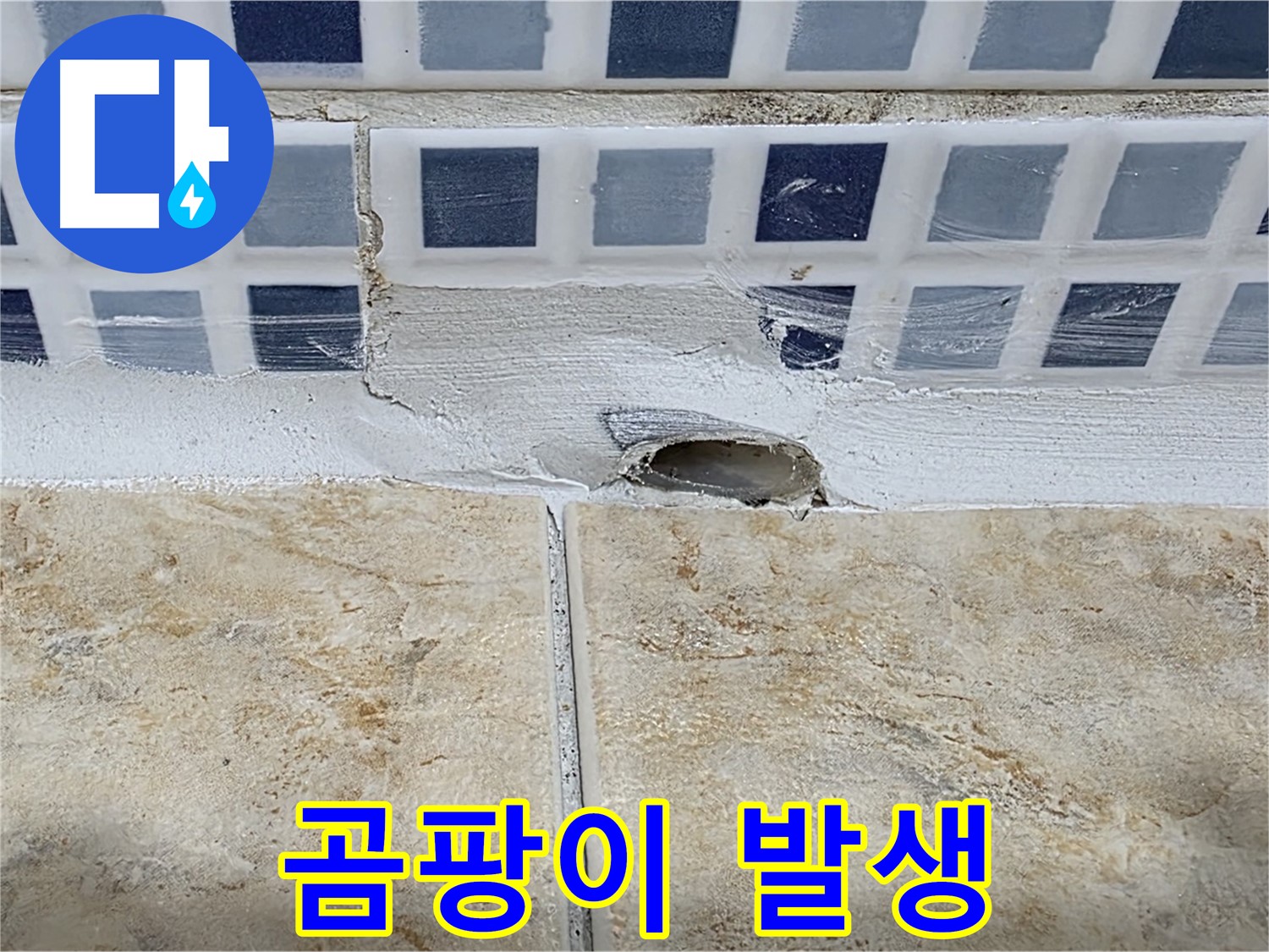 젠다이 배수구 누수 - 곰팡이 발생은 누수의 신호 - 빠른 점검이 필요합니다.