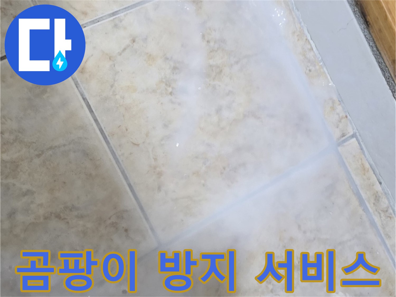 타일 누수 해결 - 곰팡이 방지 프리미엄 - 놓치지 마세요!