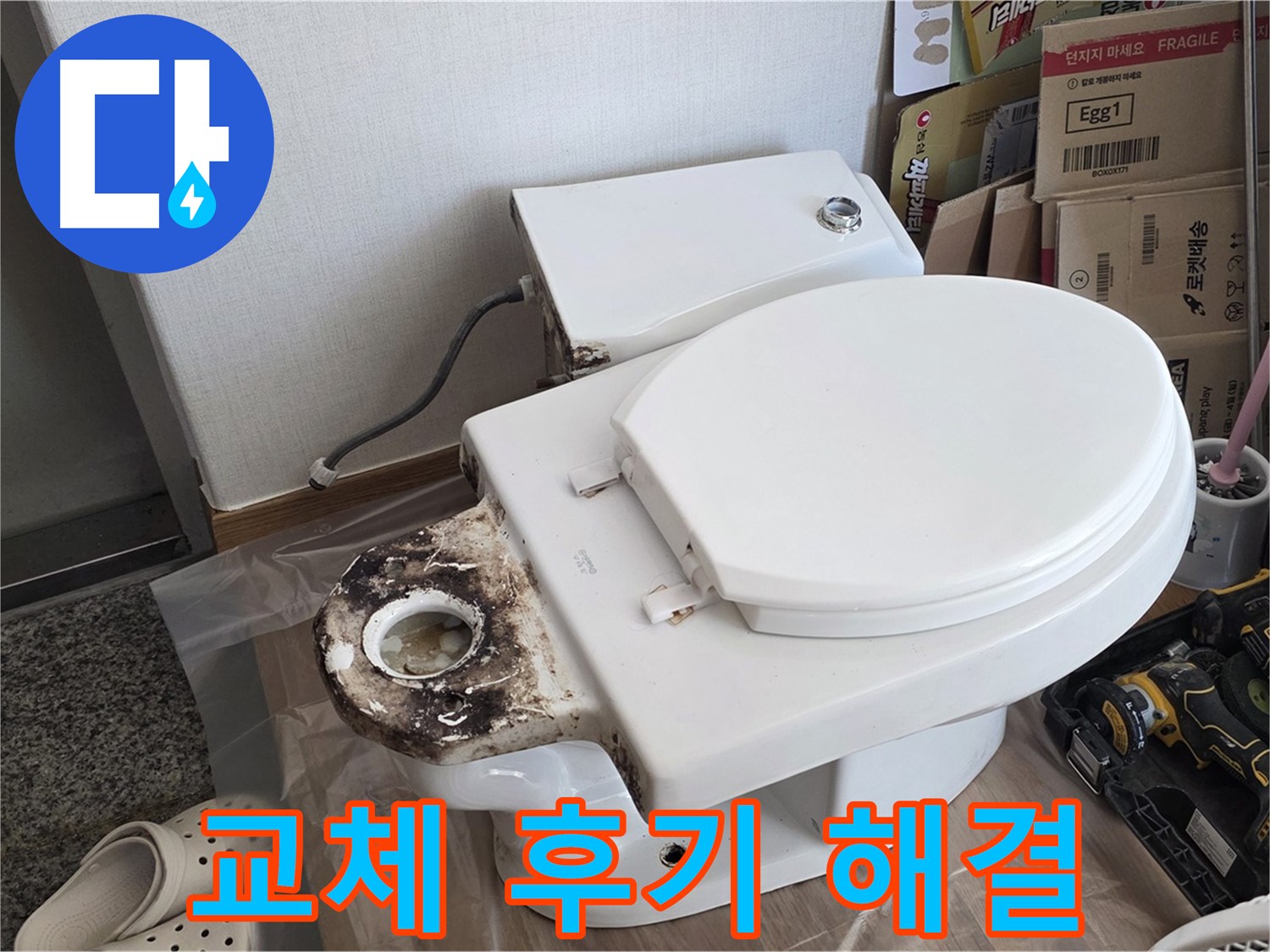 중랑구 묵동 변기 오물 트랩 교체 - 냄새와 벌레를 완벽하게 해결한 후기!