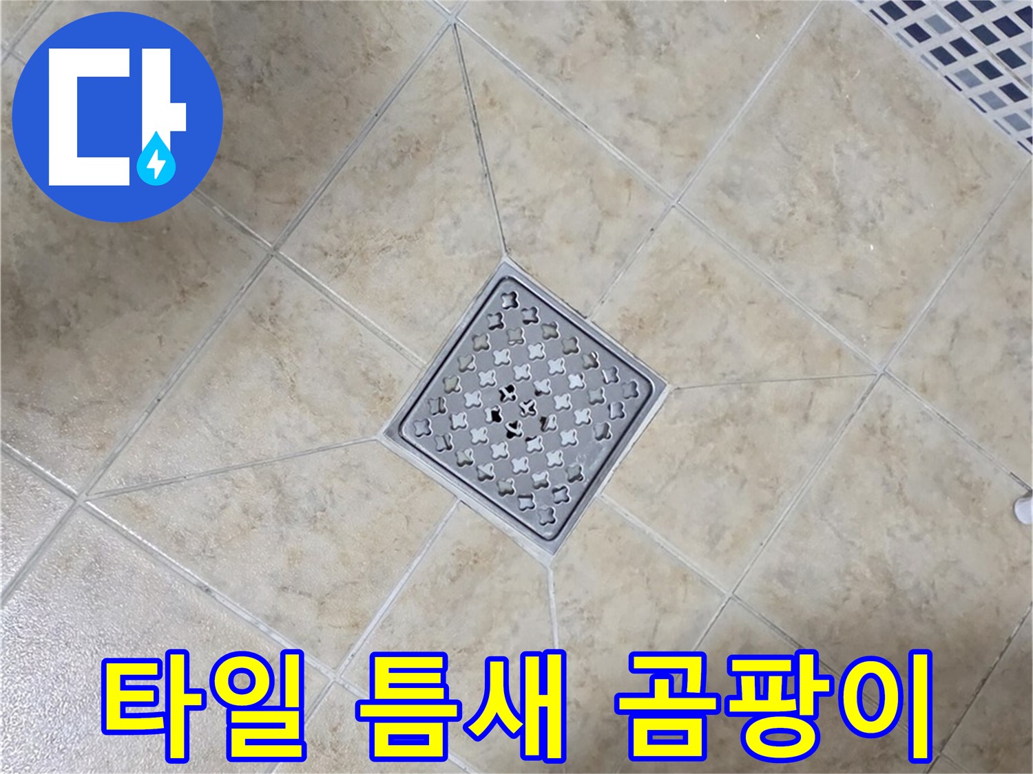 타일 곰팡이 - 실리콘 시공