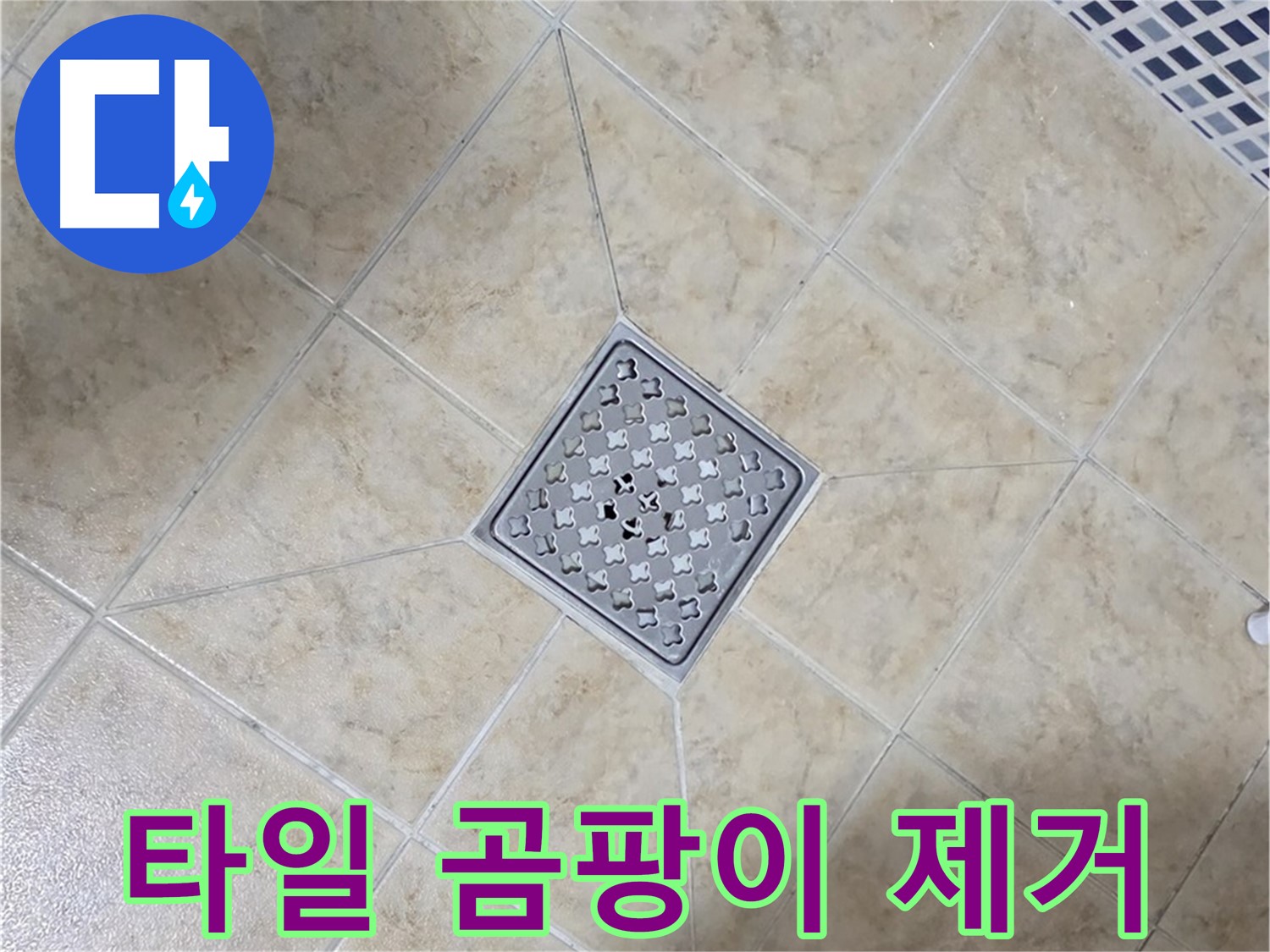 타일 곰팡이 - 친환경 제거제