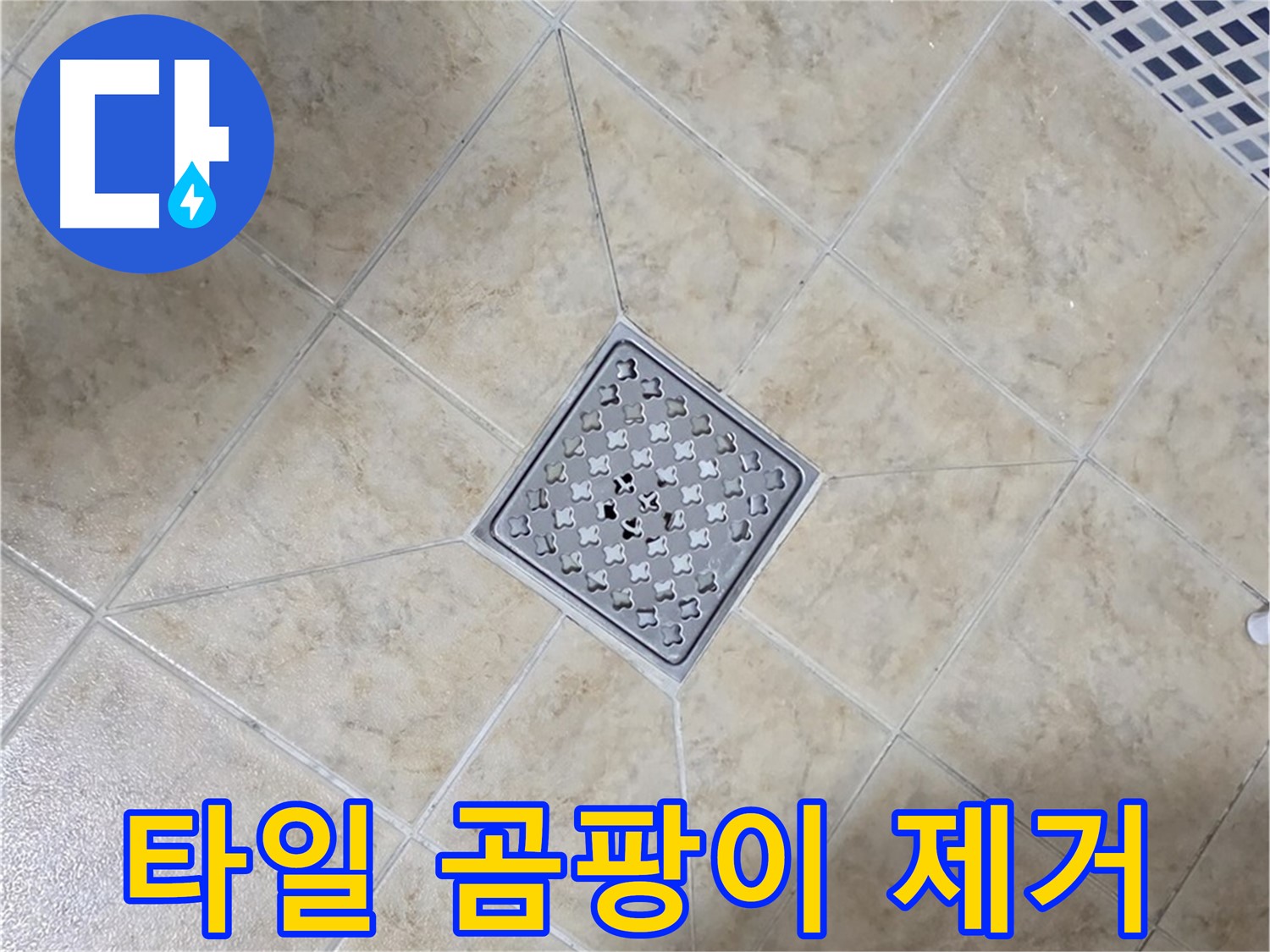 타일 곰팡이 - 항균 실리콘 시공