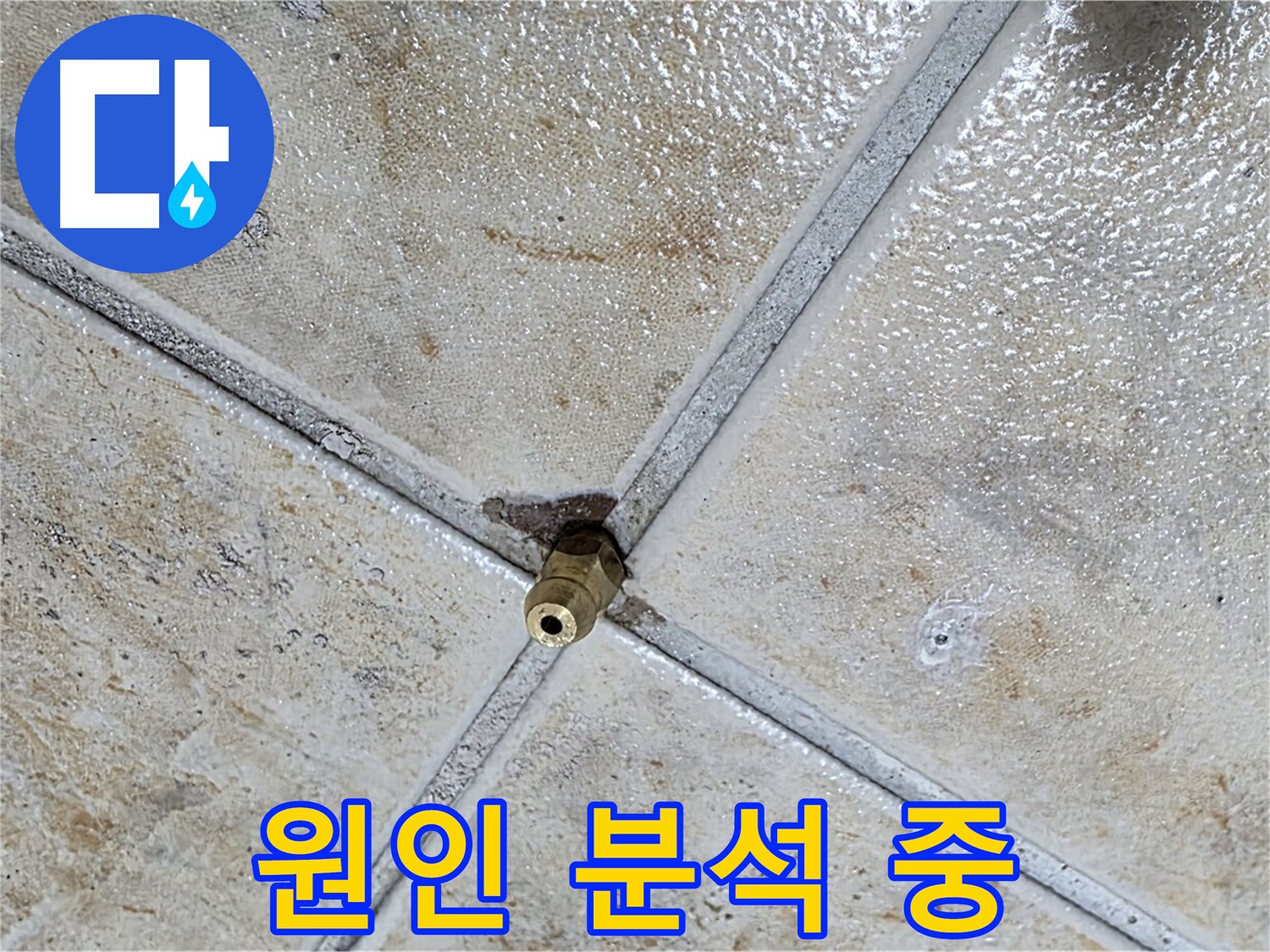 타일 틈새 누수 - 배관 or 보일러 문제?