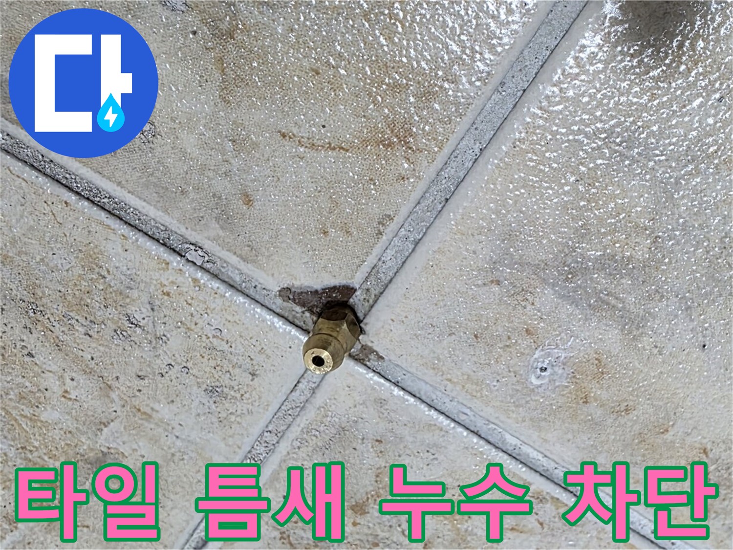 타일 틈새 누수 차단 - 전문 기술로 완벽하게