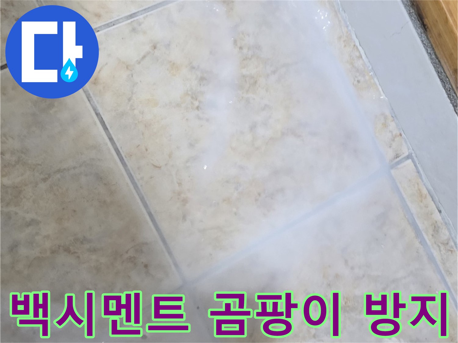 타일 틈새 백시멘트 - 곰팡이 방지 시공으로 - 누수 해결