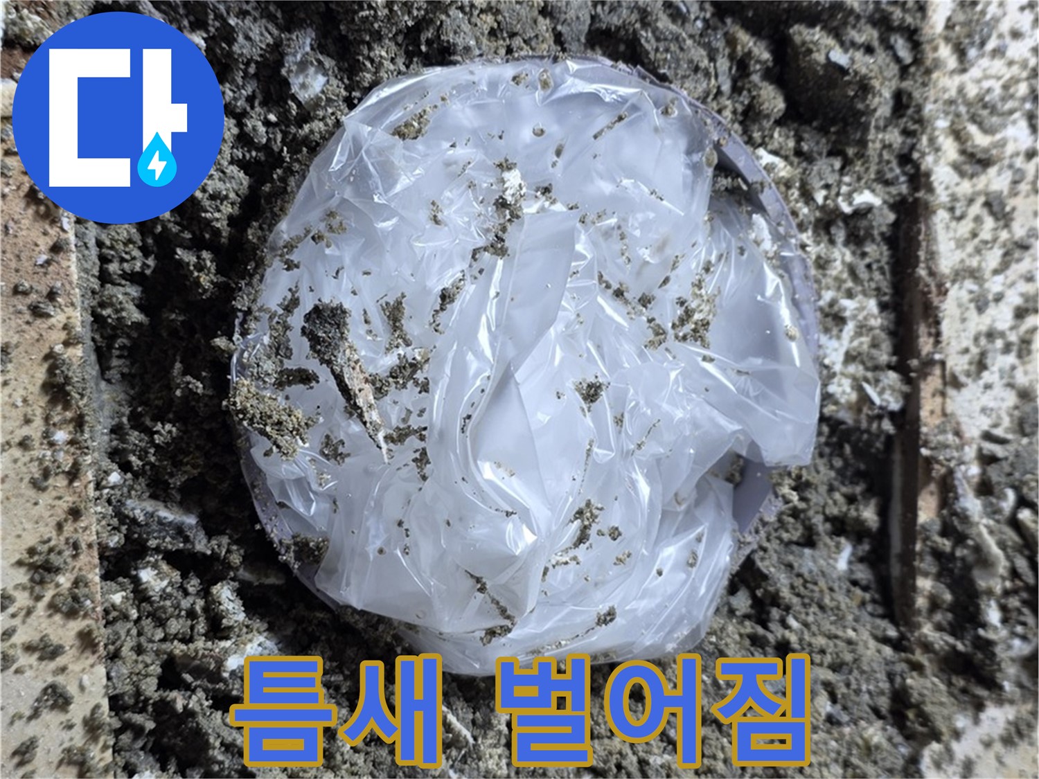 틈새 벌어짐 - 물이 새는 이유