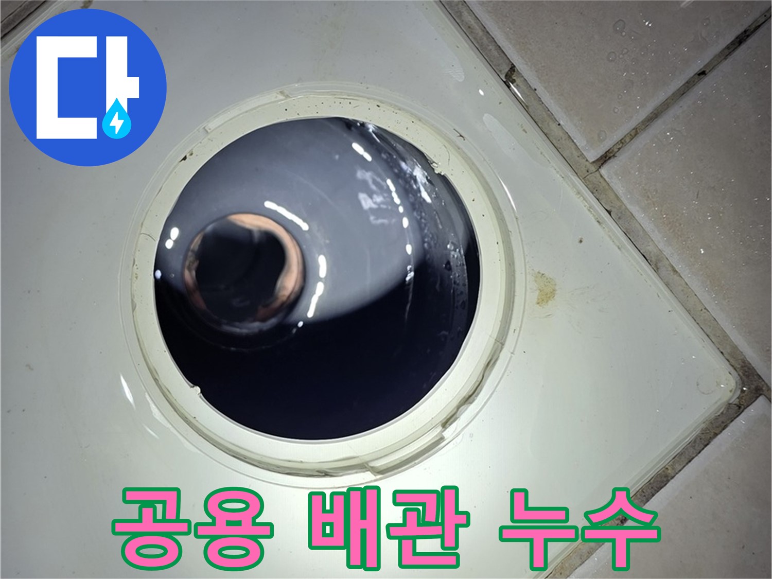 양주 백석 서광아파트 공용 배관 누수 - 신속한 조치로 피해 최소화