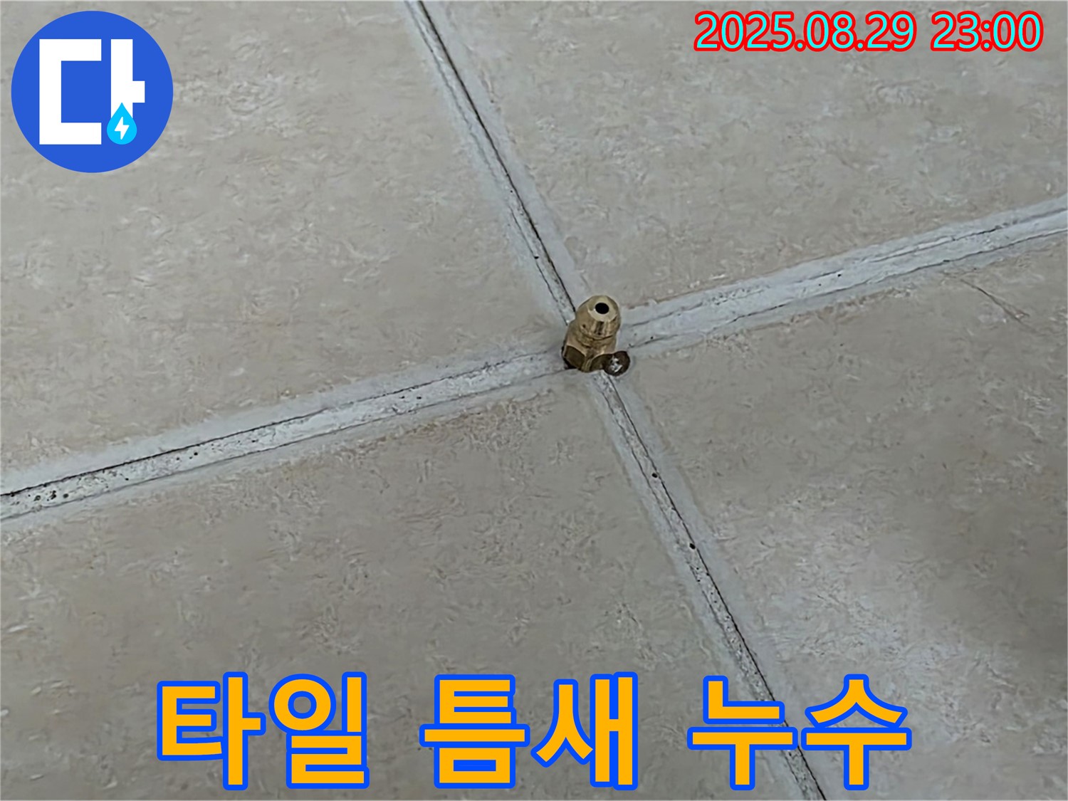 양주 백석 서광아파트 누수 - 타일 틈새의 숨겨진 누수까지 완벽하게 잡아냅니다.
