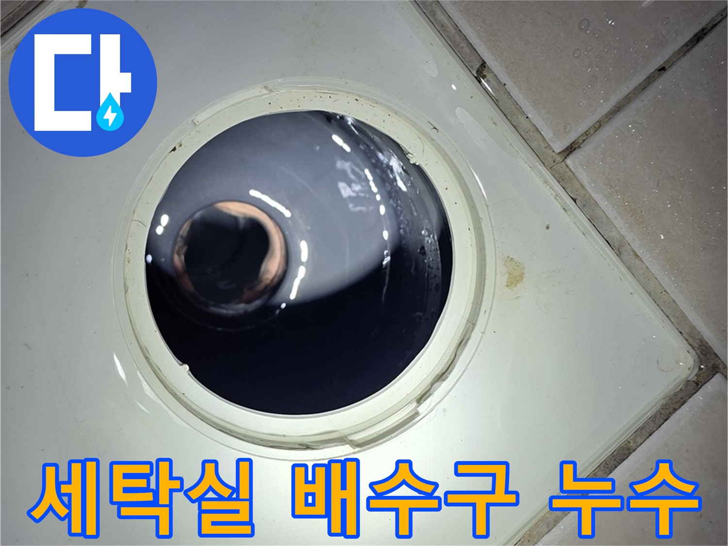 양주 백석 서광아파트 세탁실 배수구 누수 - 정확한 진단과 확실한 해결