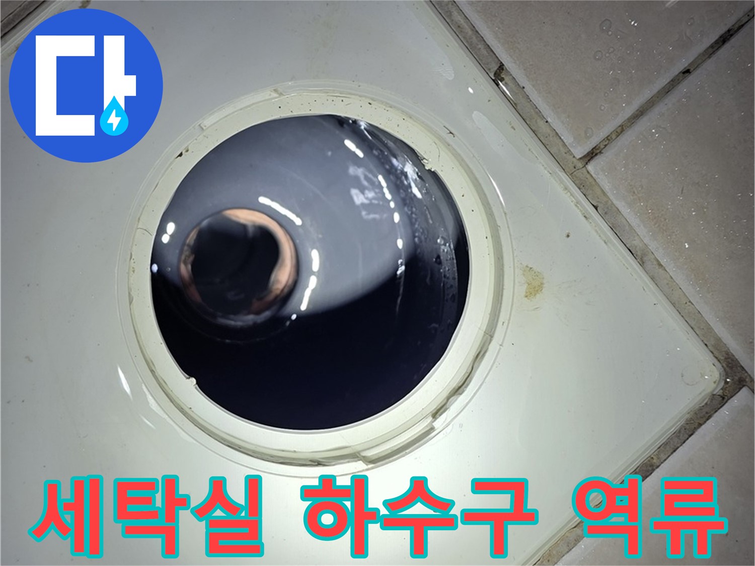 양주 백석 서광아파트 세탁실 하수구 역류 - 섬유 찌꺼기 제거, 배수 원활