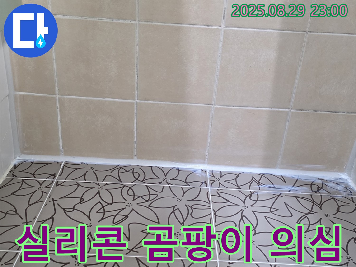 양주 백석 서광아파트 욕실 - 욕조 옆 실리콘에 곰팡이가 핀 사진으로 누수 가능성을 보여줍니다.