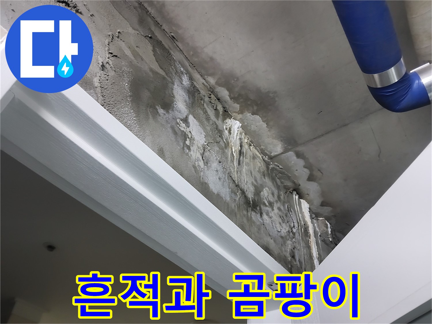 문 상단 천장 - 흔적과 곰팡이 - 누수 흔적과 함께 곰팡이가 발생한 천장의 모습입니다.