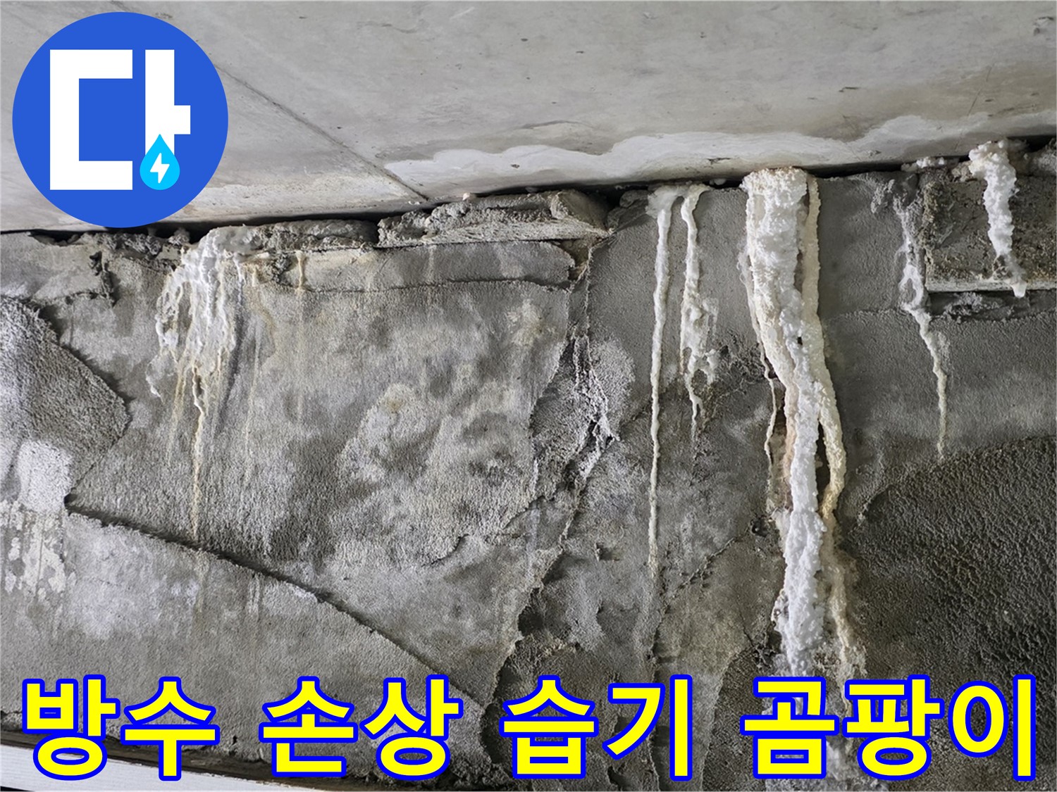 분당 누수 - 방수 사망, 습기 무덤, 곰팡이