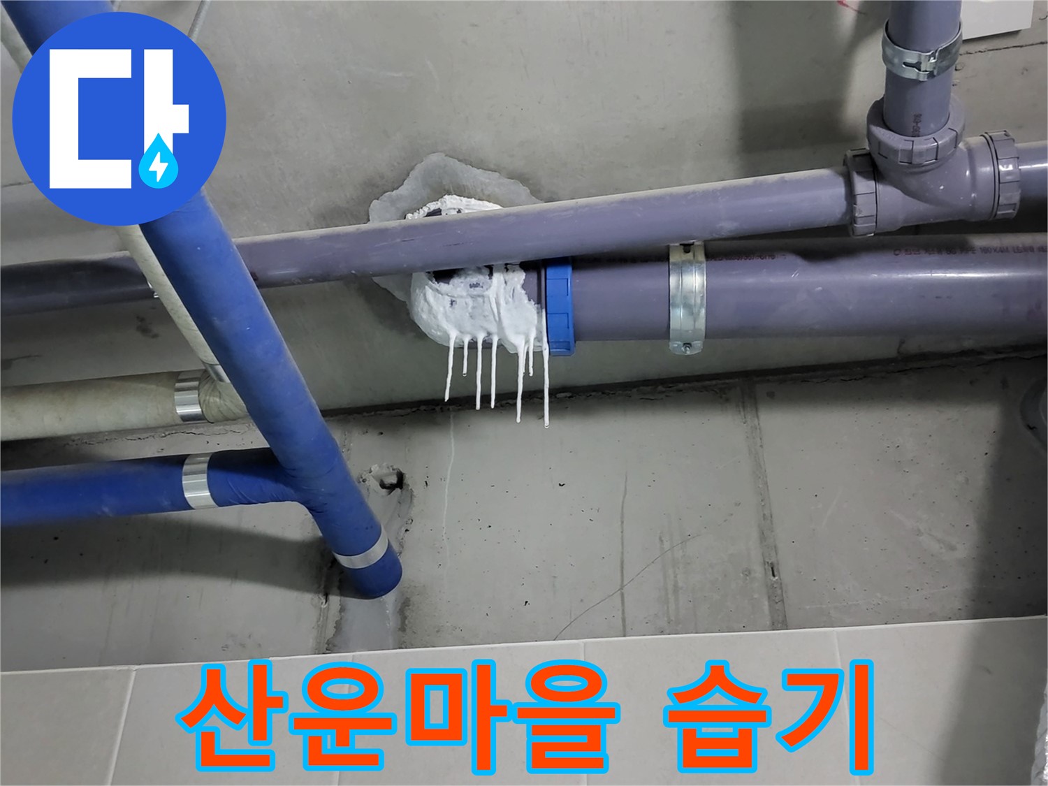분당 산운마을 하수 누수 - 배관 주변 습기로 인한 누수 의심