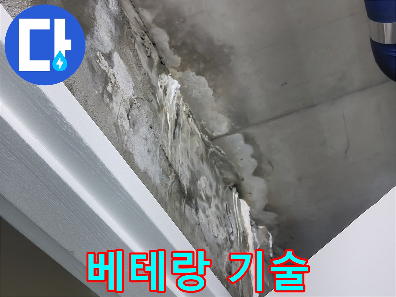 분당 운중동 누수 - 베테랑 기술자의 꼼꼼한 손길
