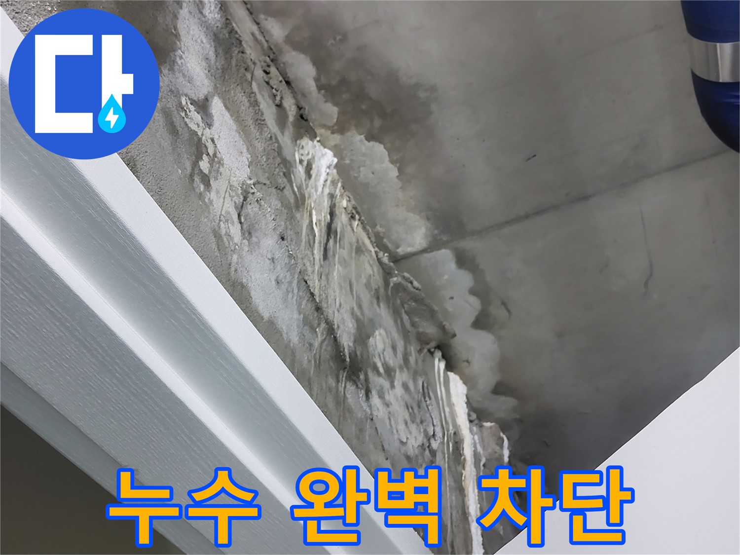 분당 운중동 누수 - 완벽한 누수 차단 시공