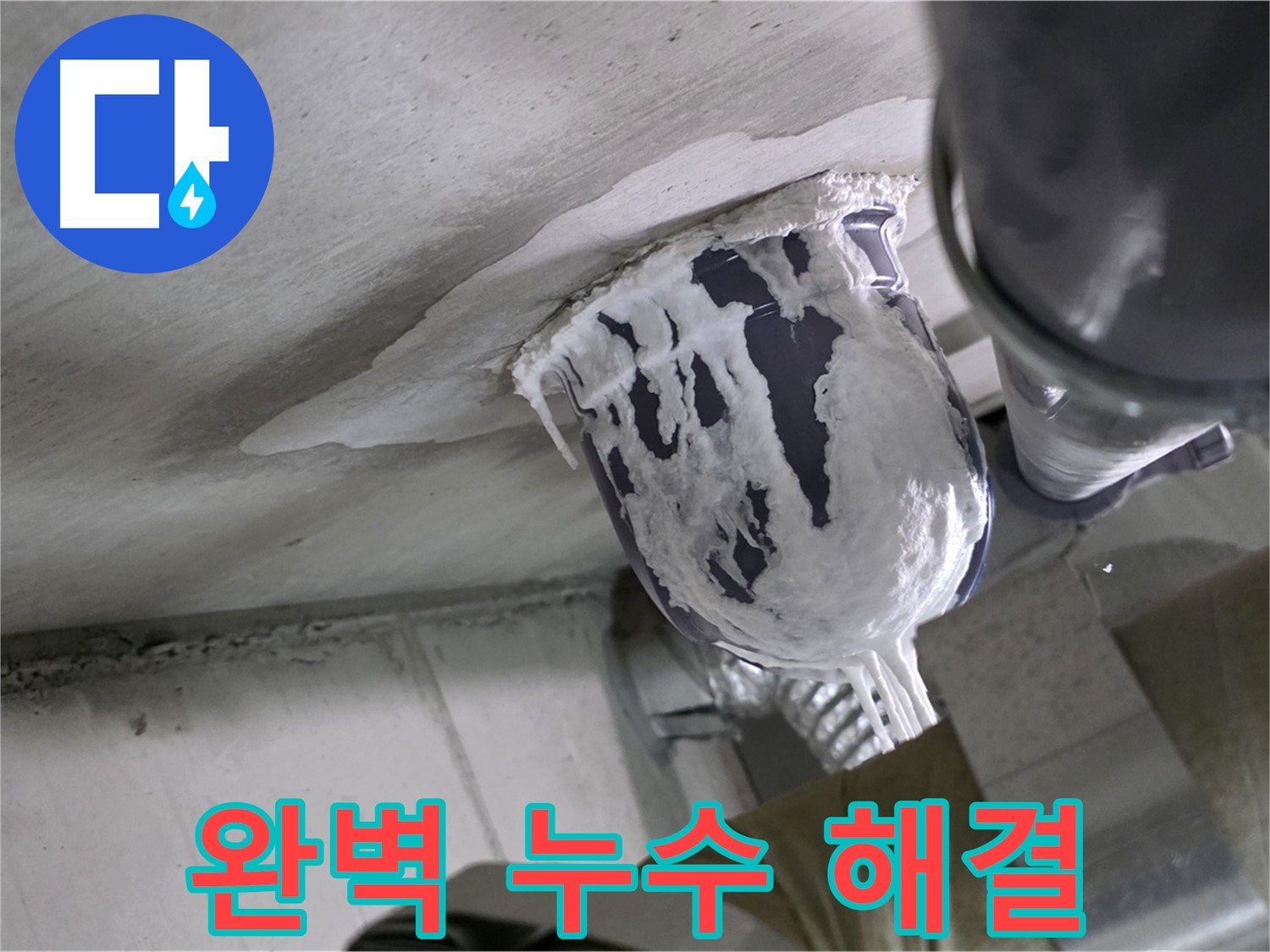 분당 운중동 누수 - 완벽한 누수 해결로 고객 만족 실현