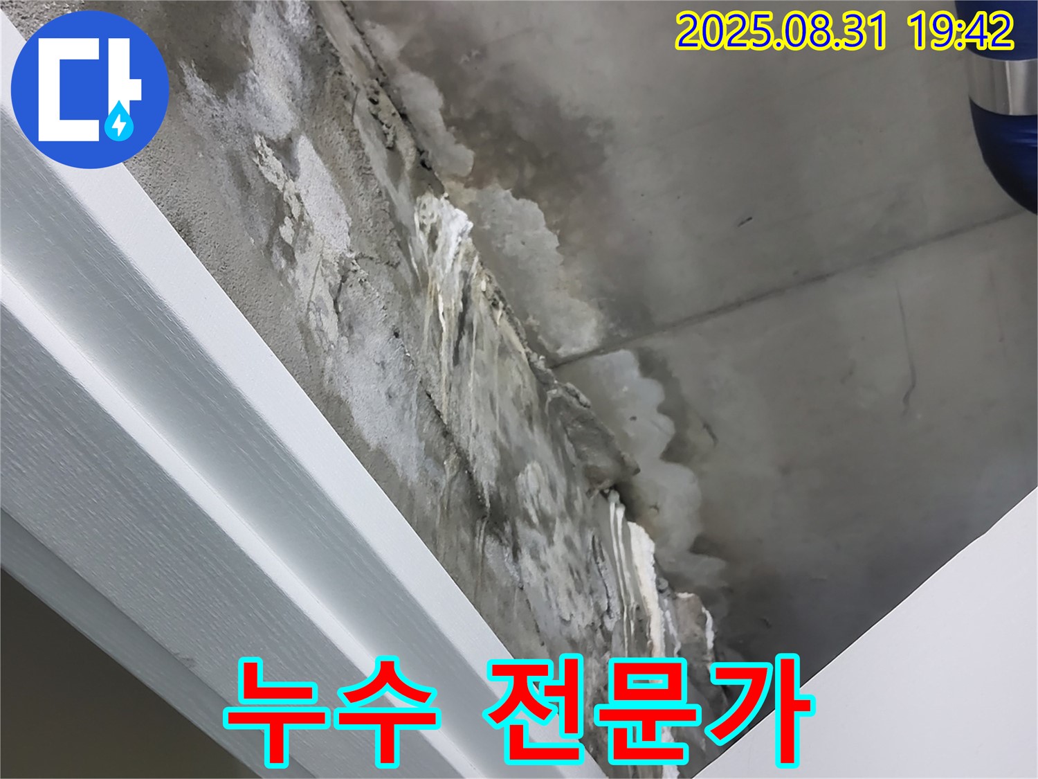분당 운중동 산운마을 누수 전문가 - 믿고 맡길 수 있는 누수 해결!