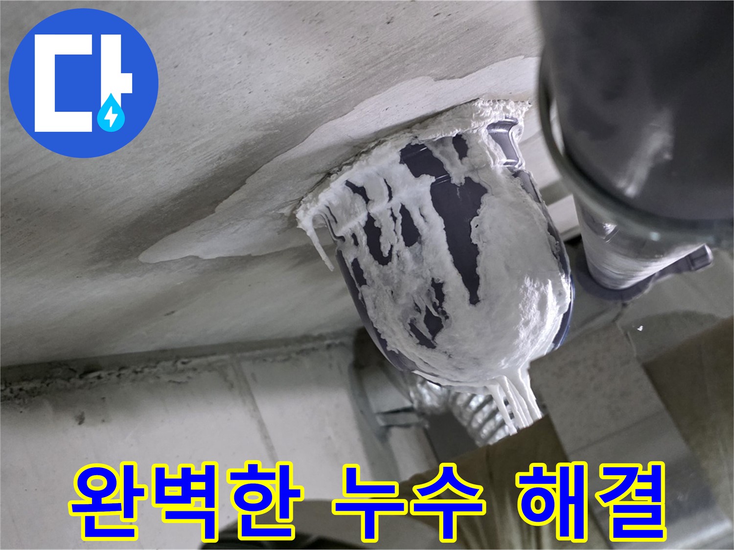 분당 운중동 산운마을 - 완벽한 누수 해결로 고객 만족 극대화