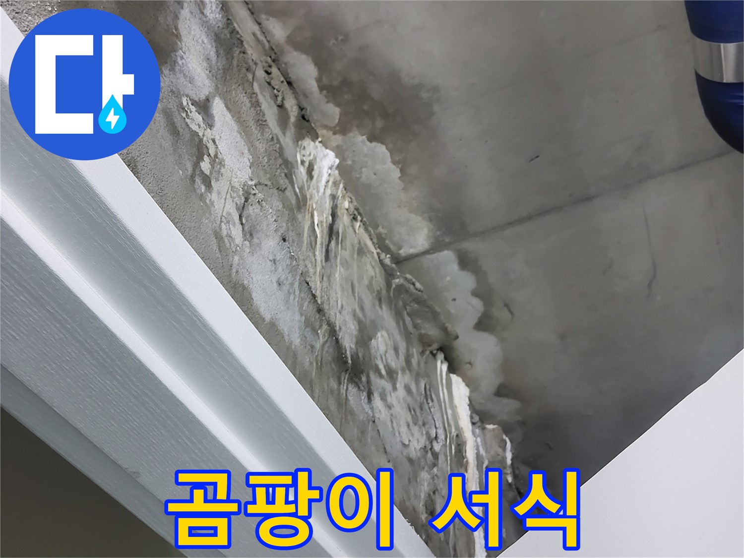 분당 운중동 - 콘크리트 벽 누수 - 석회수 - 곰팡이 서식 환경 제공