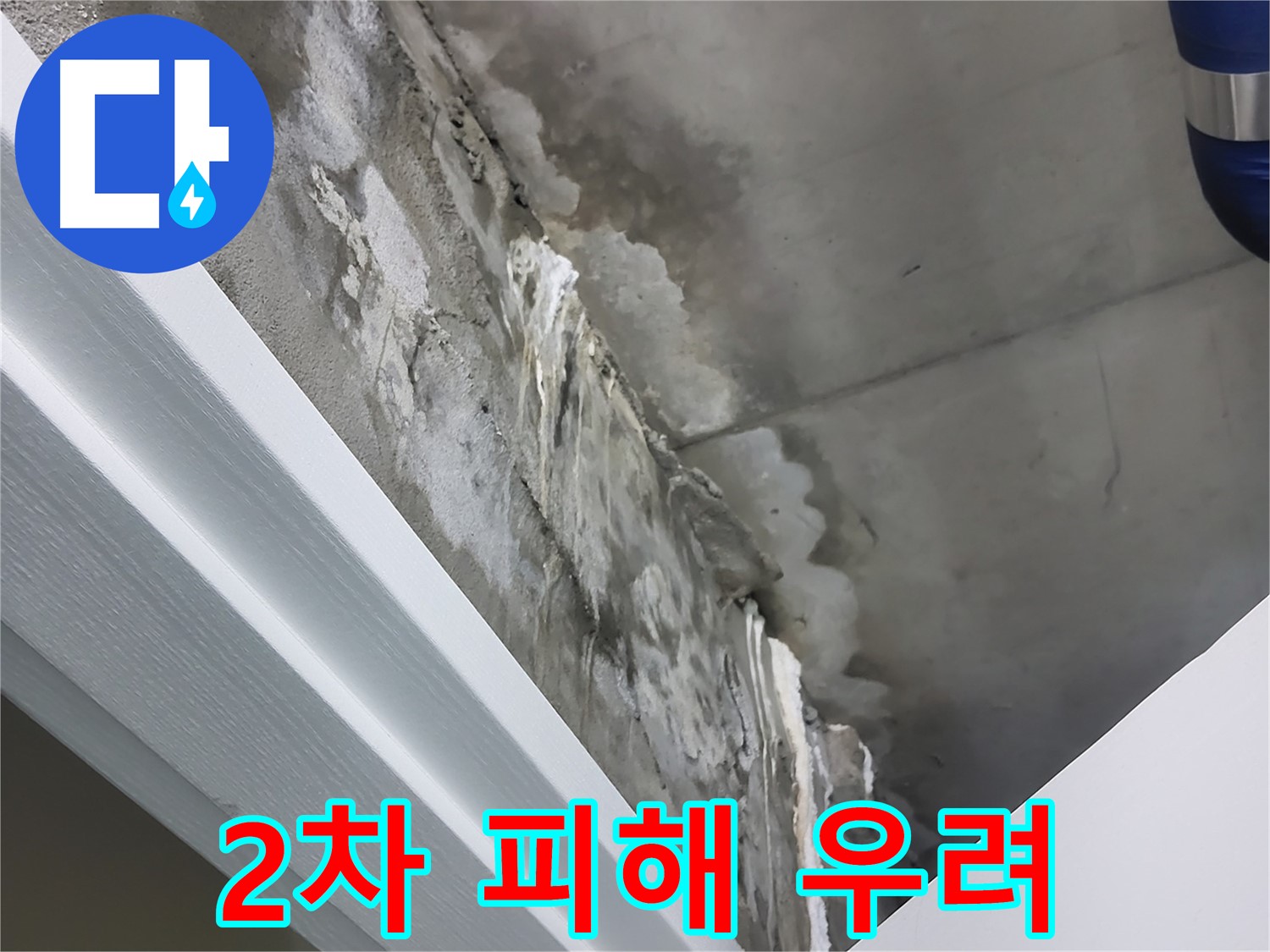 분당 운중동 - 콘크리트 천장 누수 - 2차 피해 우려 - 빠른 해결