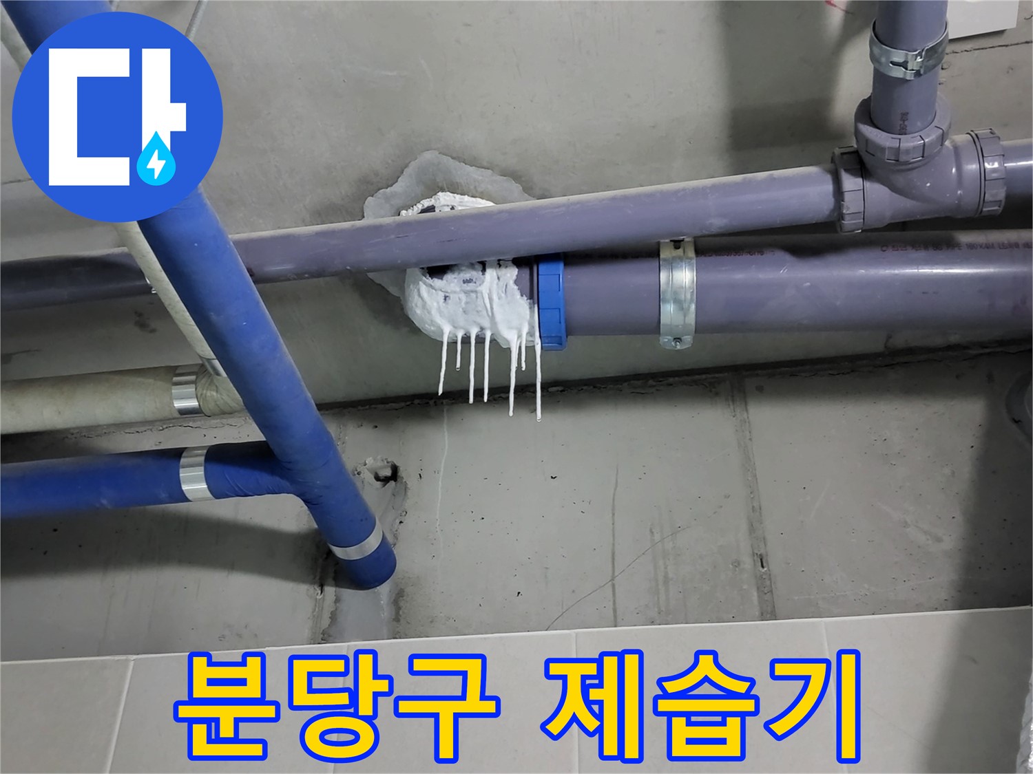 분당구 하수 누수 - 벽면 습기 제거를 위한 제습기 가동
