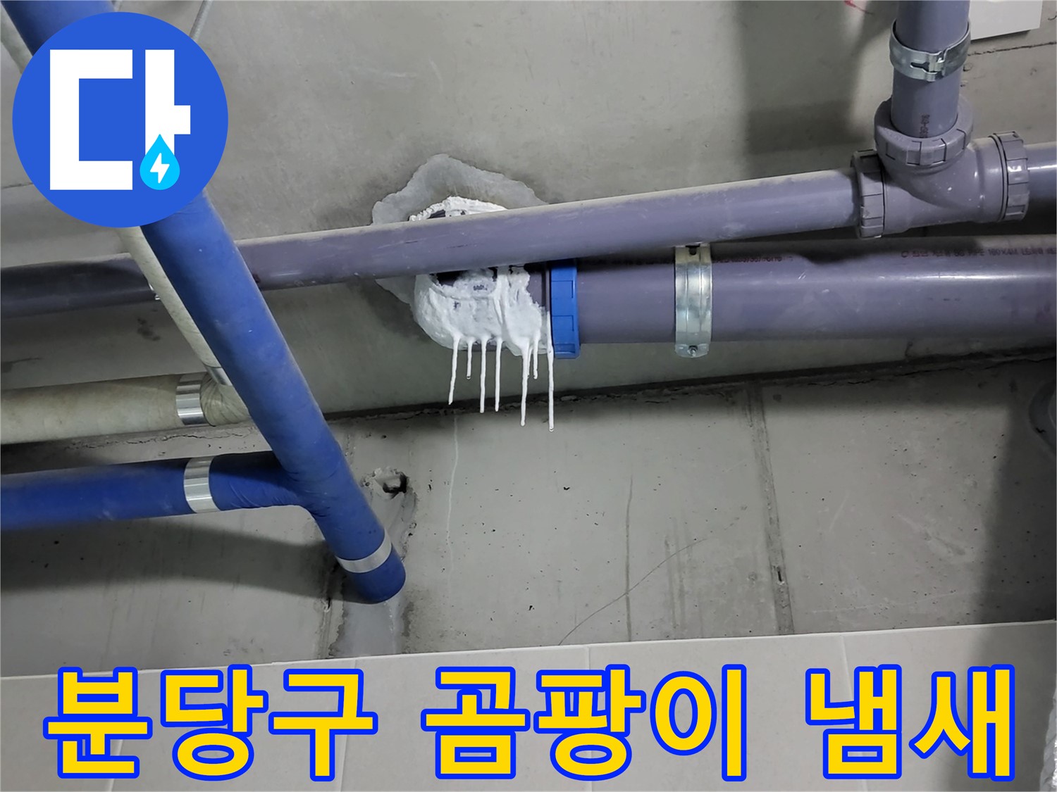 분당구 하수 누수 - 벽면 습기와 곰팡이 냄새 심각