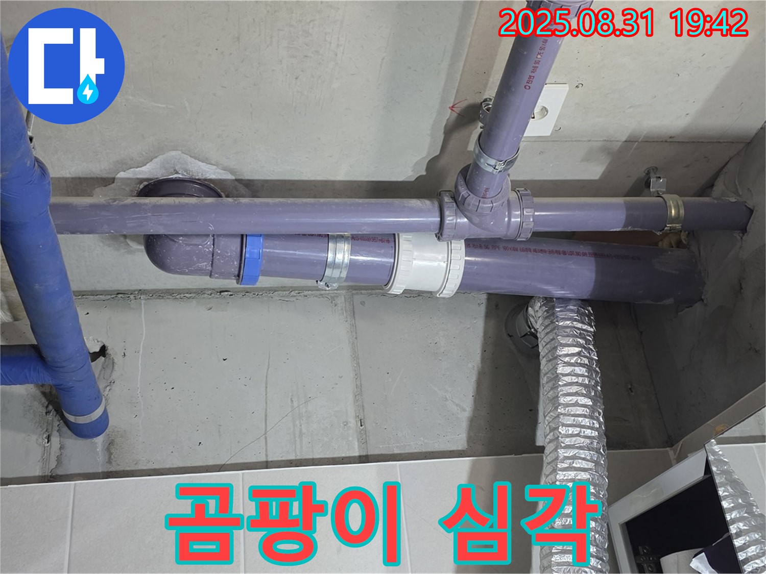 산운마을 아파트 - 세탁실 천장 배관 연결 부위 주변 곰팡이 심각 - 누수 전문가가 곰팡이 제거 및 누수 원인 해결을 위해 노력하고 있습니다.