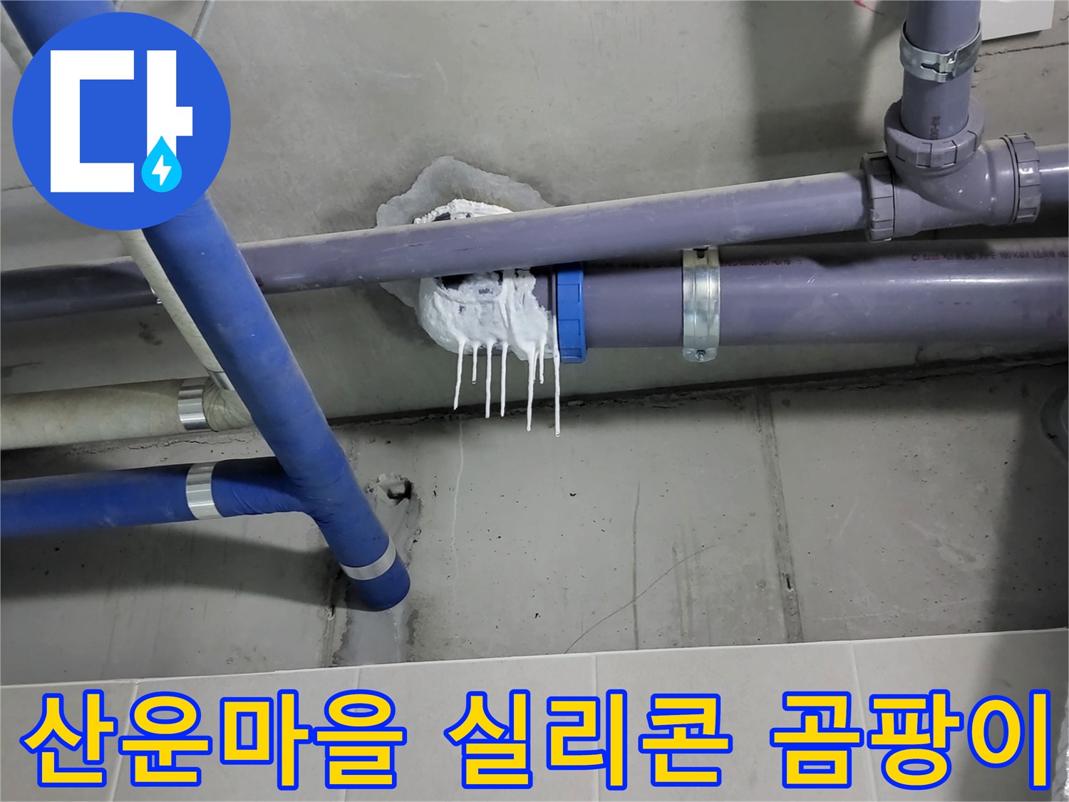 산운마을 하수 누수 - 실리콘 갈라짐과 곰팡이
