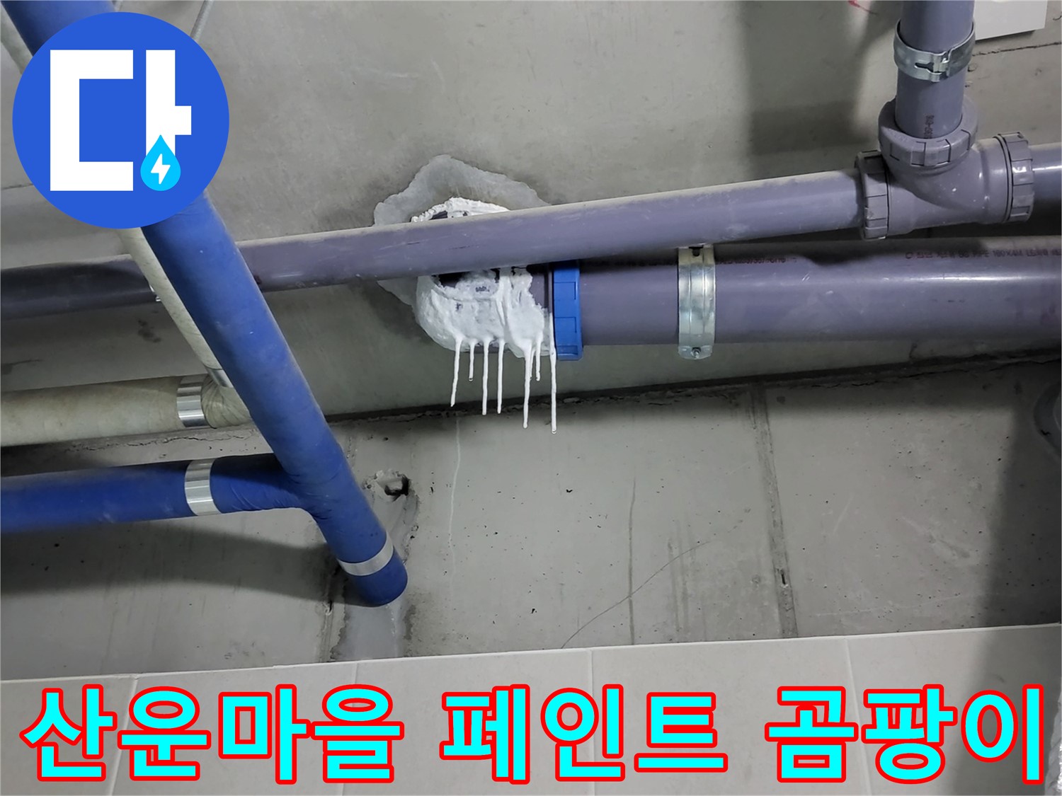 산운마을 하수 누수 - 페인트 변색과 곰팡이