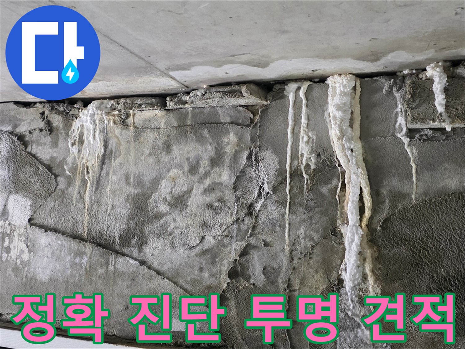 성남 누수 탐지 - 정확한 진단과 투명한 견적, 고객 만족 100%