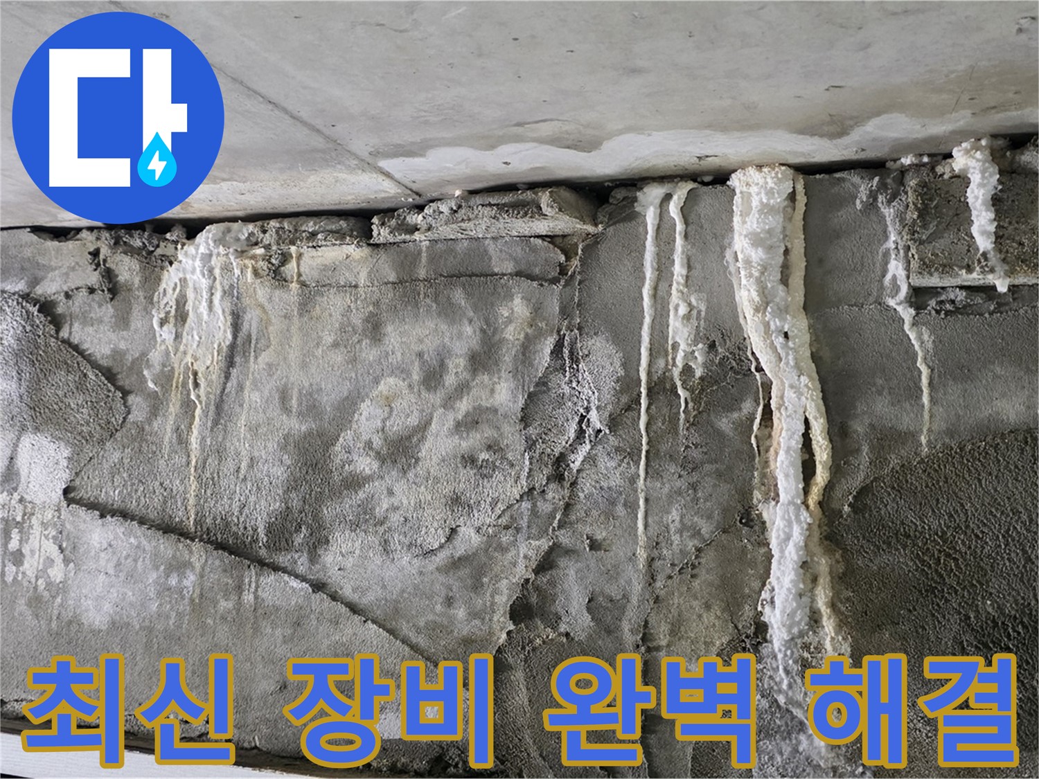 분당 누수 탐지 - 최신 장비와 기술력으로 누수 완벽 해결