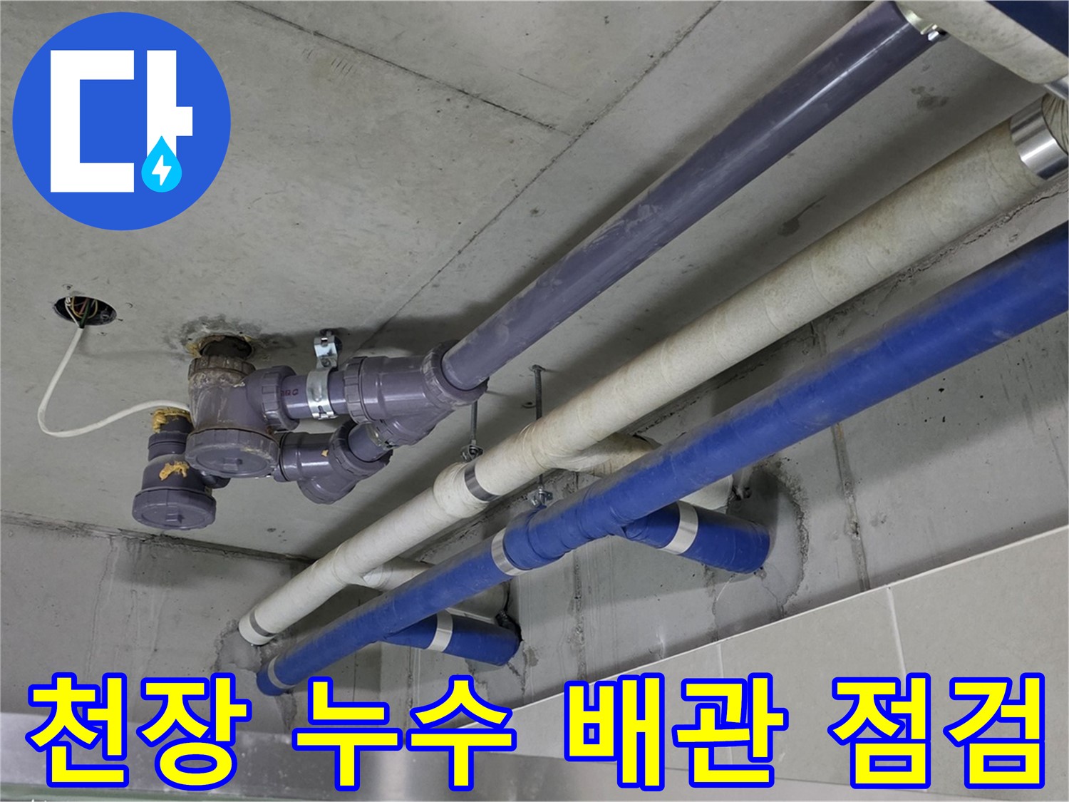 성남 분당 산운마을 천장 누수 배관 점검 - 꼼꼼한 진단과 해결