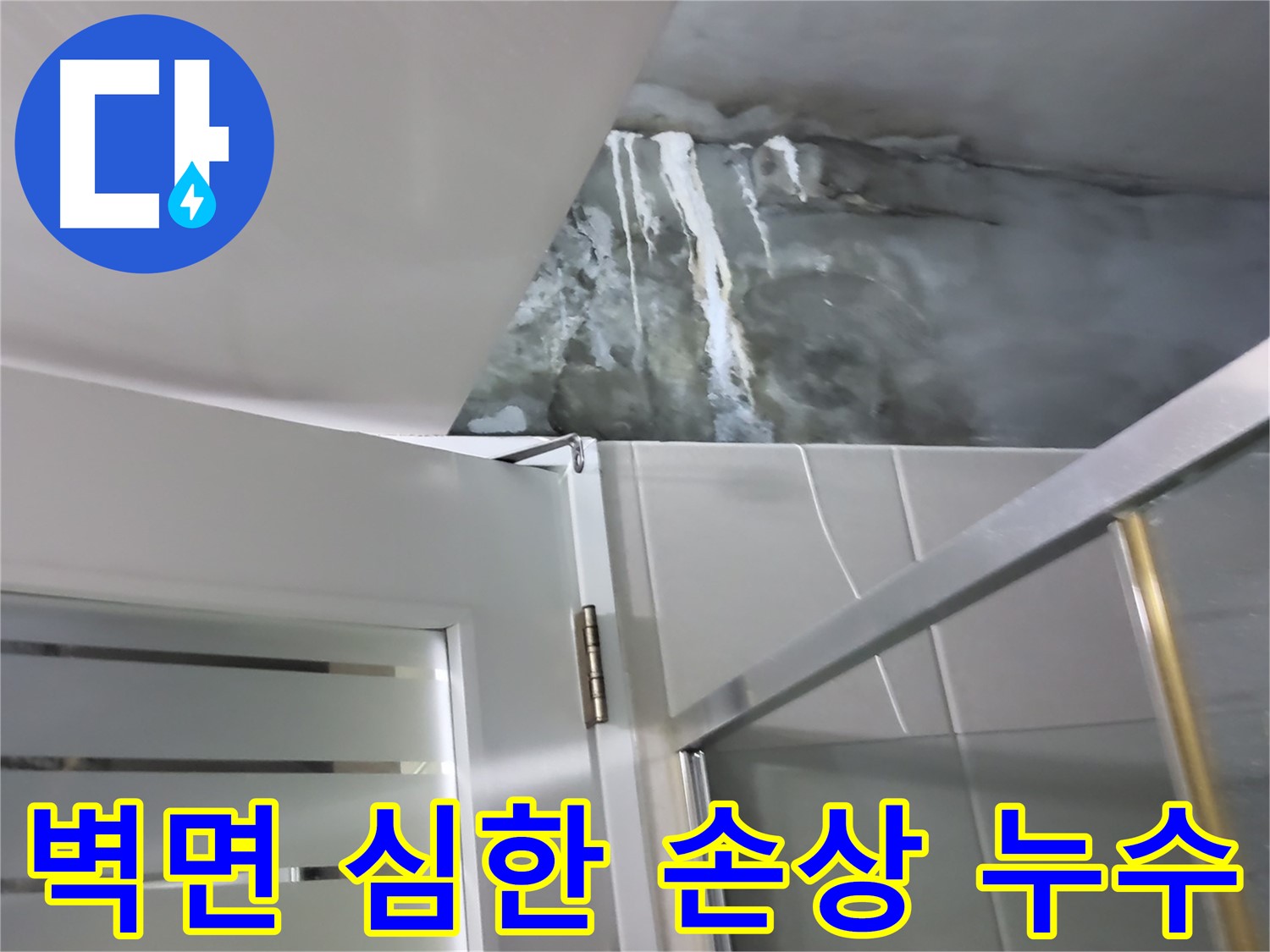 성남 분당 샤워부스 벽면 심각한 손상 및 누수 진행 - 정밀 점검 과정